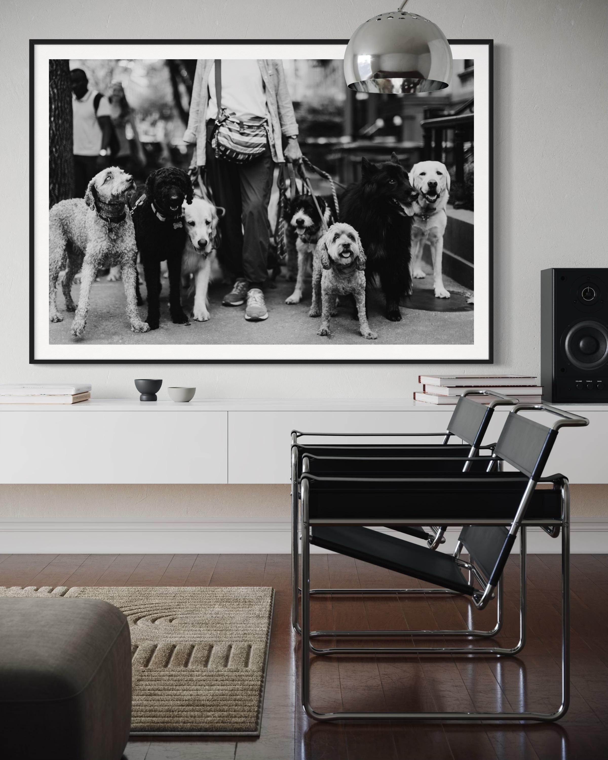 Limitierte Auflage, New Yorker Hunde Walker Fine Art Photography-The Dog Walker 911 im Angebot 6