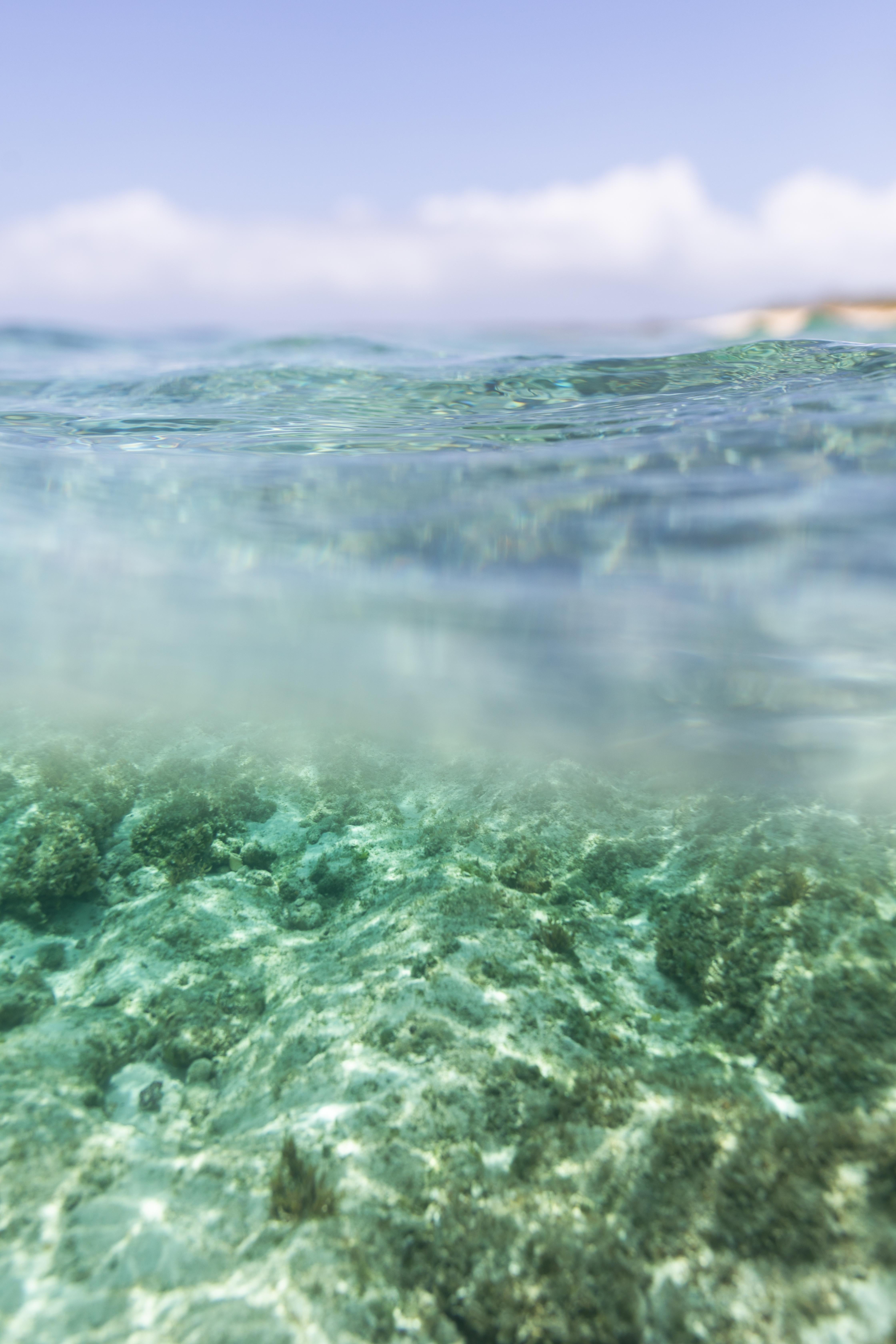 Photographie de plage, Photographie d'océan, Photographie sous-marine-Oceana II - Bleu Color Photograph par Addison Jones