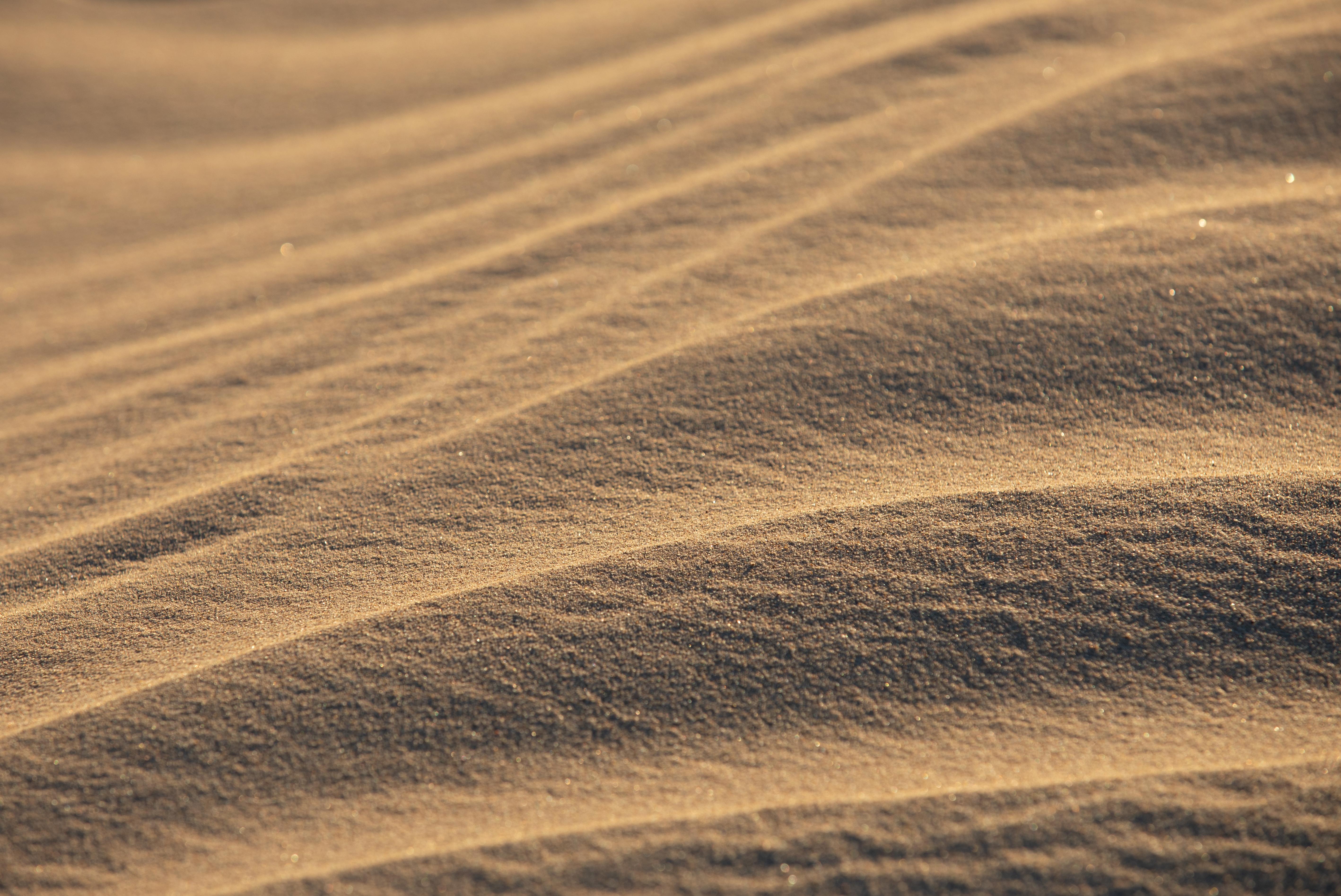Photographie de la côte, photographie de plage, photographie de sable océanique-Sandy Toes - Marron Landscape Print par Addison Jones