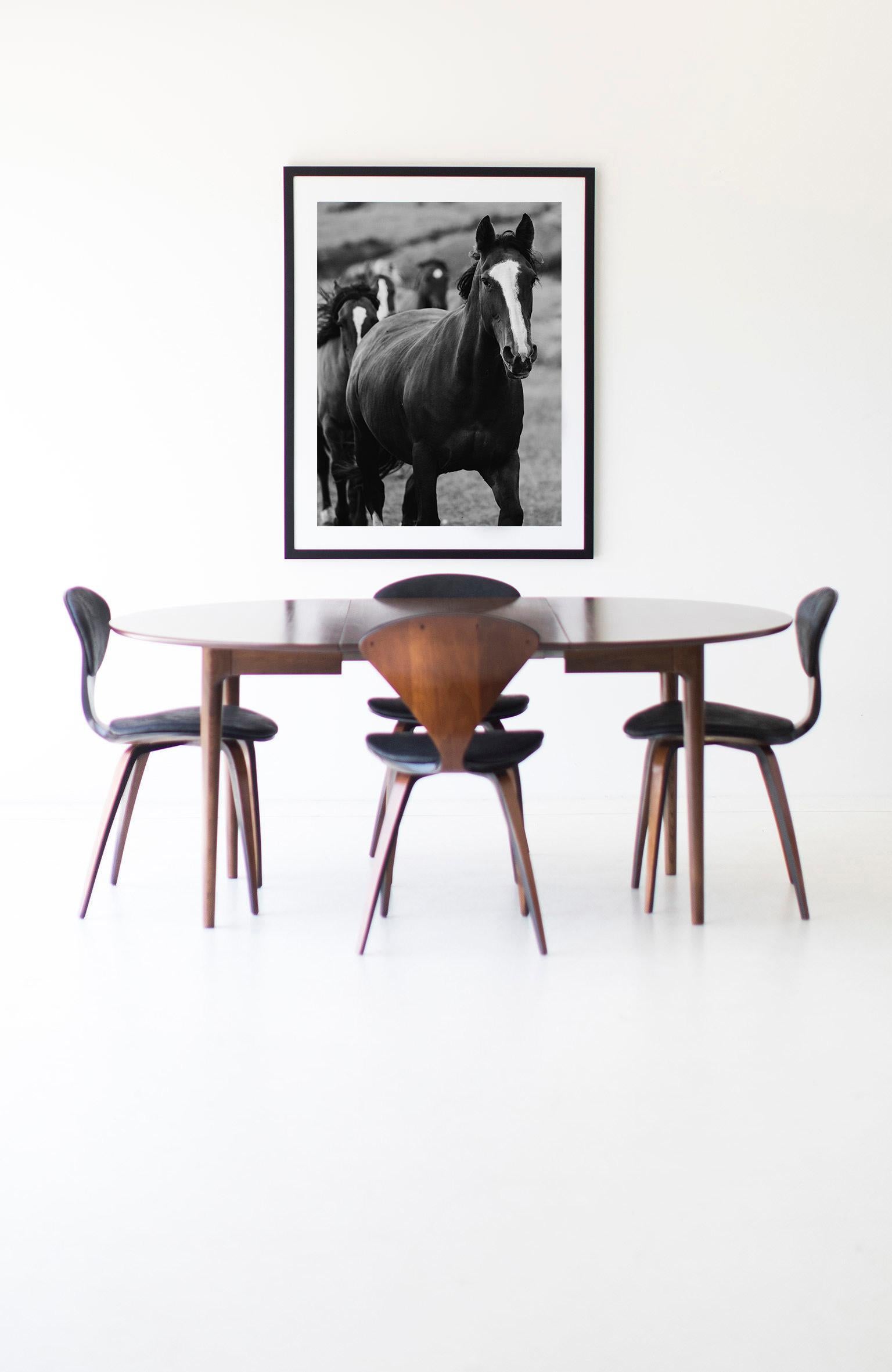 Horses, Wild Horse, Black and White Horse Photography-Prancing Peter - Print by Addison Jones