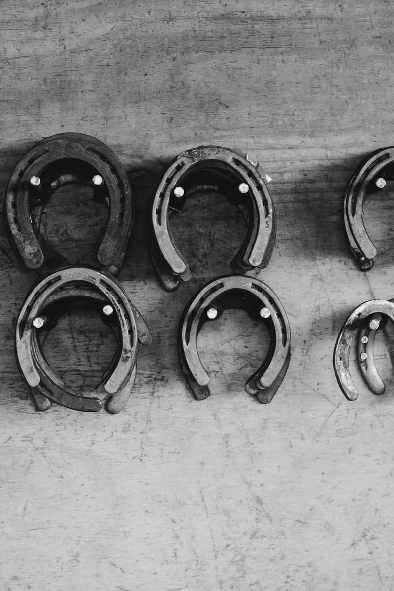 Shoe Store 8 For Sale on 1stDibs Shoe Store 8 For Sale on 1stDibs