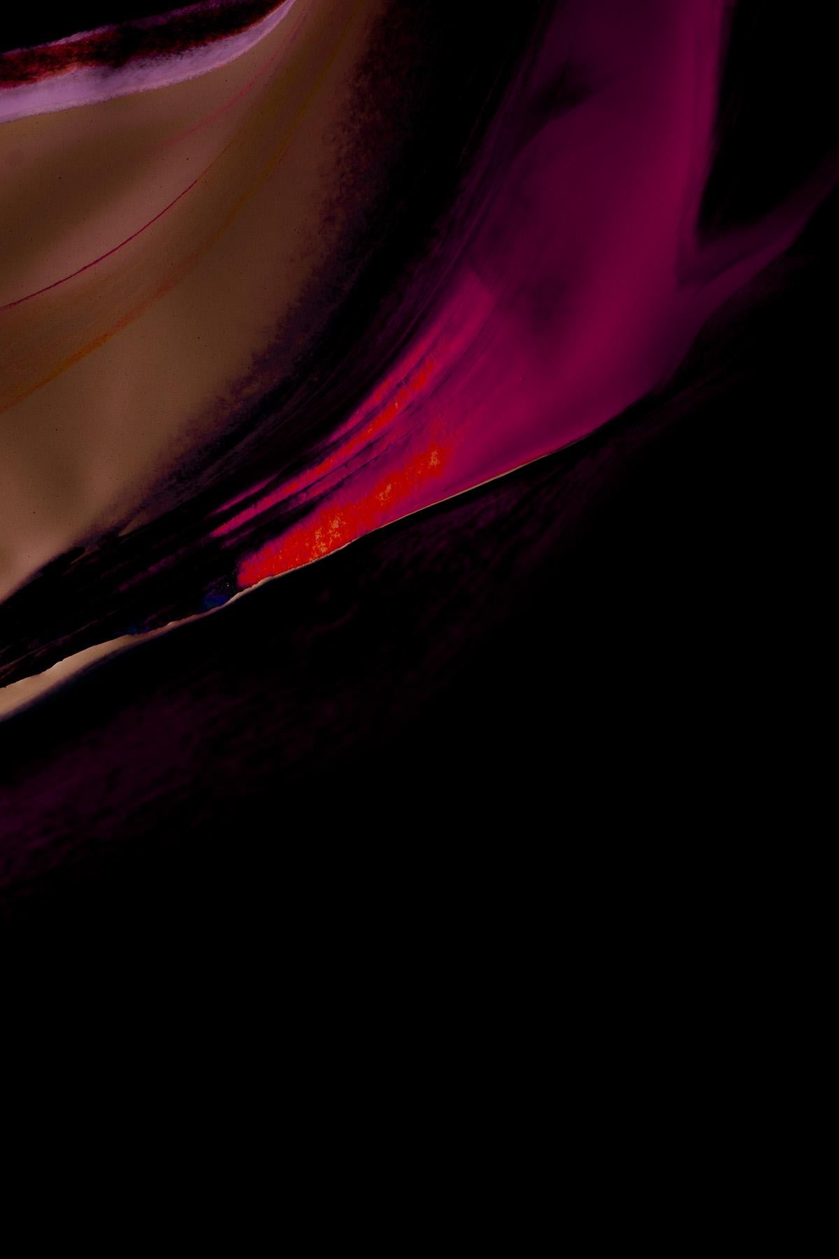 Arte moderna, Arte moderna astratta, Fotografia astratta rosa-Mingle IV in vendita 3