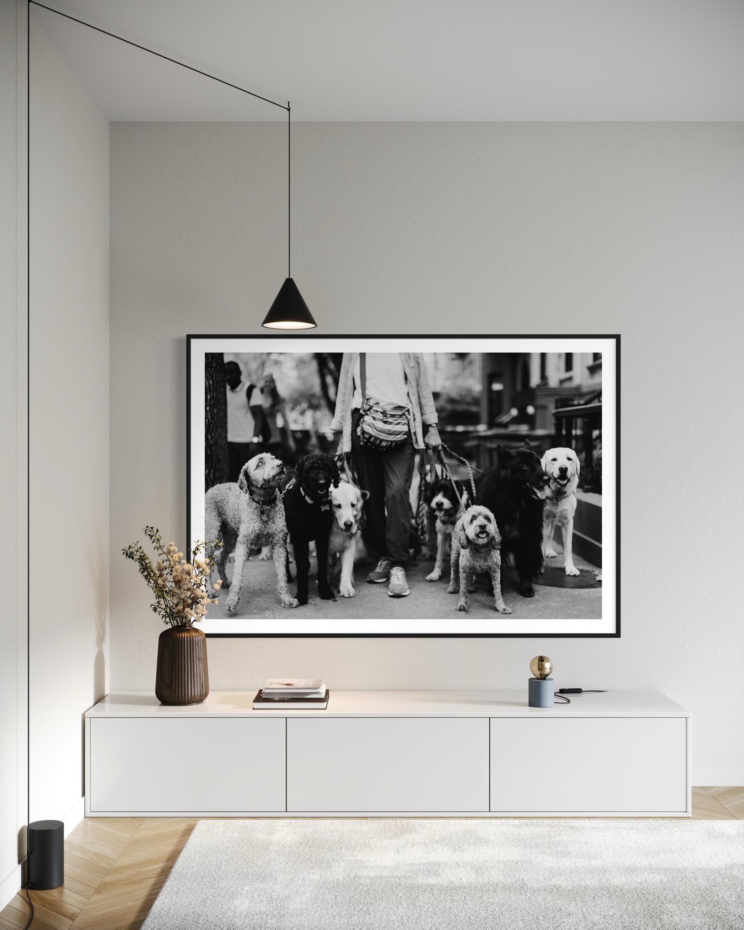 Limitierte Auflage, New Yorker Hunde Walker Fine Art Photography-The Dog Walker 911 im Angebot 3