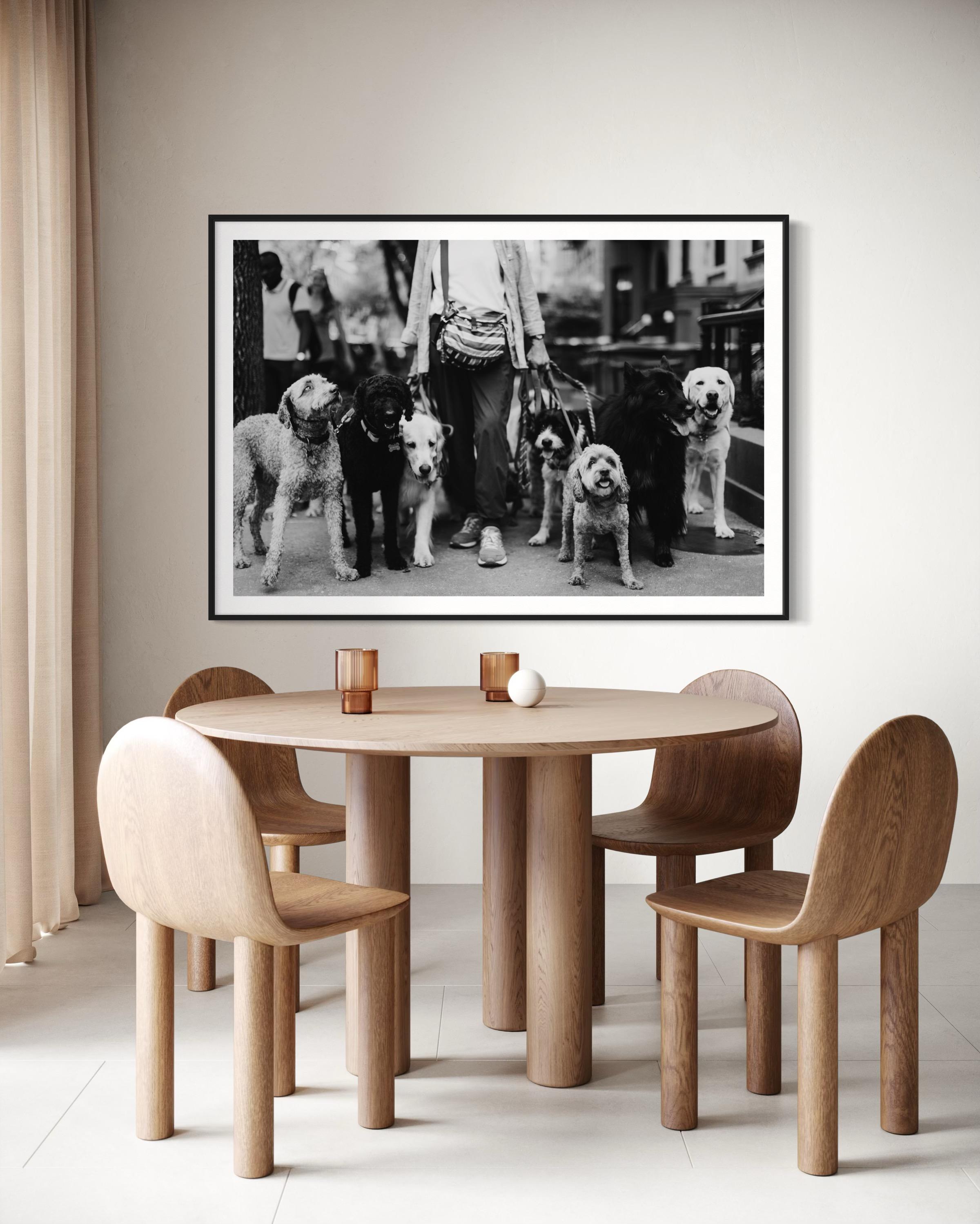 Limitierte Auflage, New Yorker Hunde Walker Fine Art Photography-The Dog Walker 911 im Angebot 4