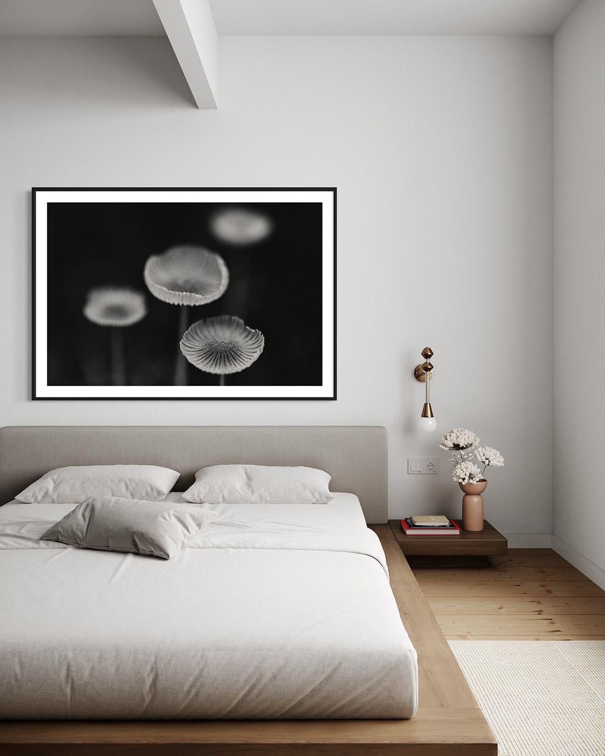 Addisonjones Fotografie, Schwarz-Weiß-Fotografie mit Fawn-Knöpfen
Benutzerdefinierte Größe verfügbar. 

ÜBER DIESES STÜCK: 
Diese Schwarzweißfotografie mit dem Titel 