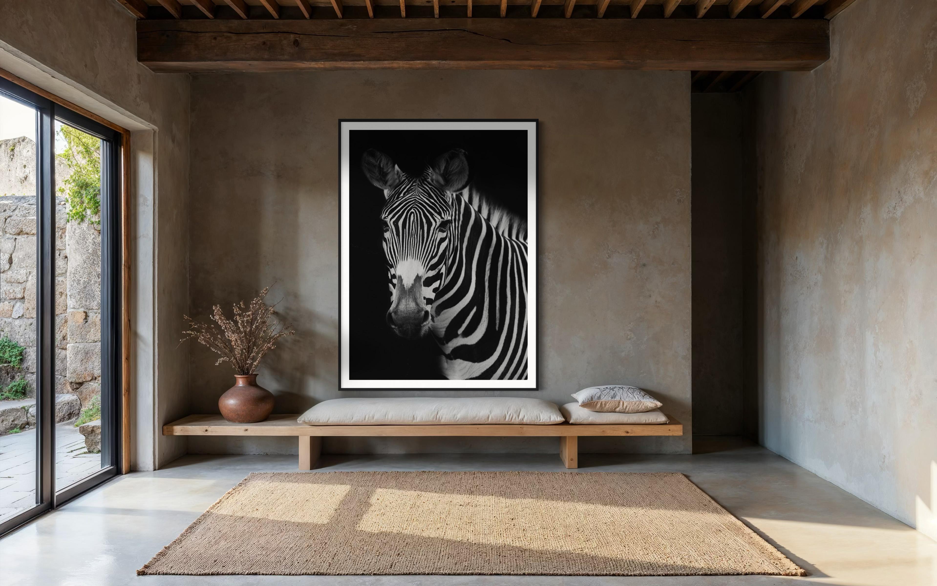 Tiere, Wildtiere, Zebra, Zebrafotografie, Zebradrucke-Harold (Zeitgenössisch), Photograph, von Addison Jones