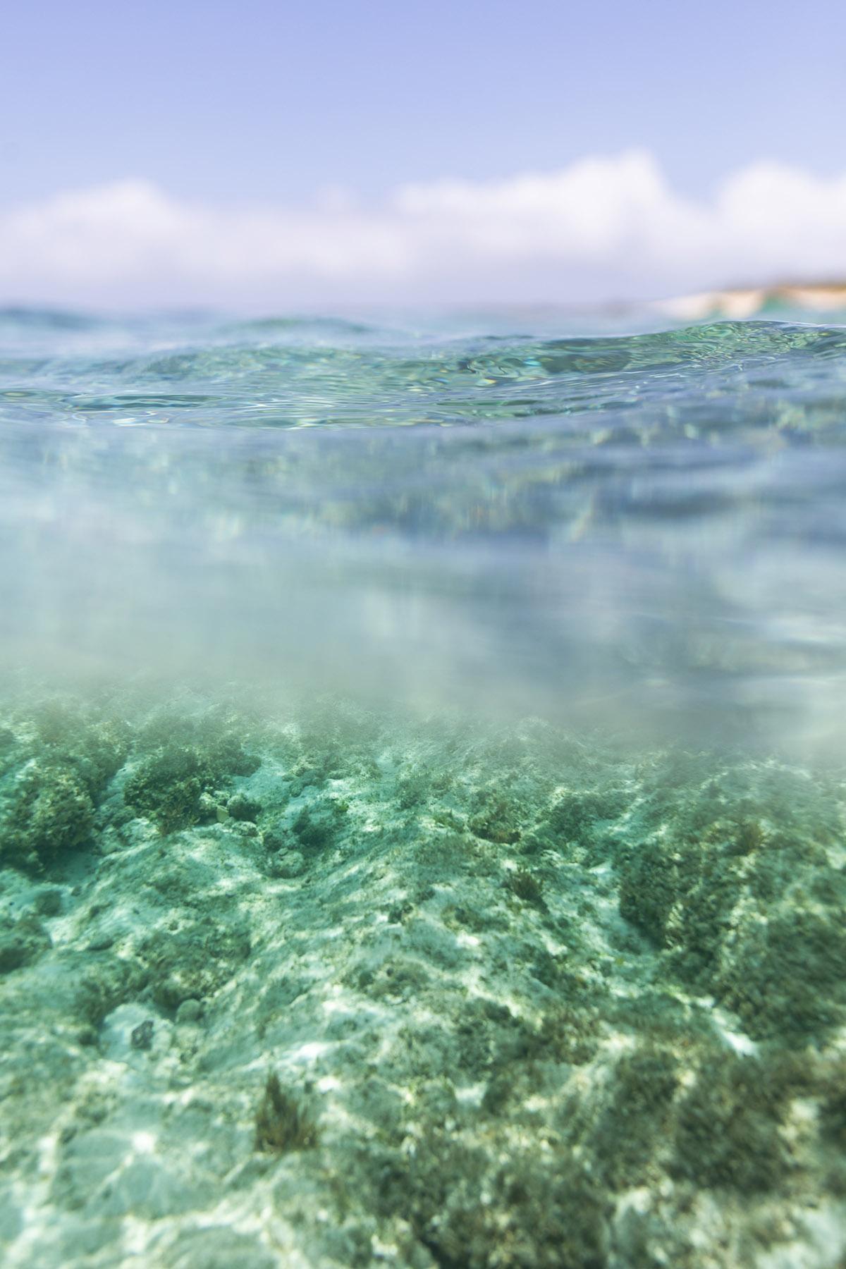 Photographie de plage, Photographie d'océan, Photographie sous-marine-Oceana II en vente 3
