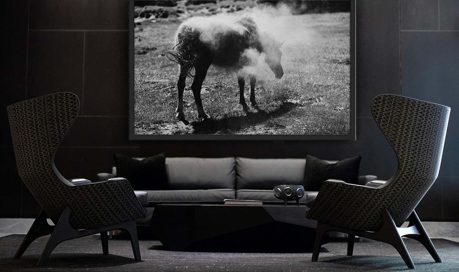 black and white prints of animals