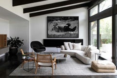 Extra Large Photo, Black and White Prints, Animal Photography-Pure Bliss