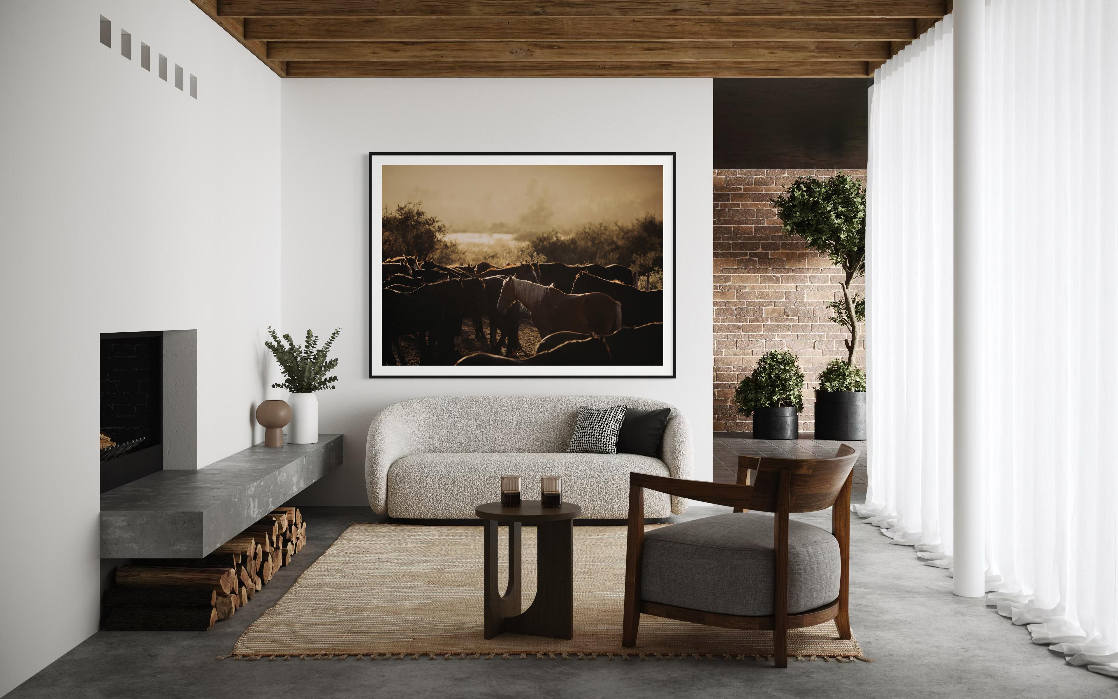 Art des chevaux, photographies de chevaux, estampes d'animaux-Horse's Flock 0225 en vente 5
