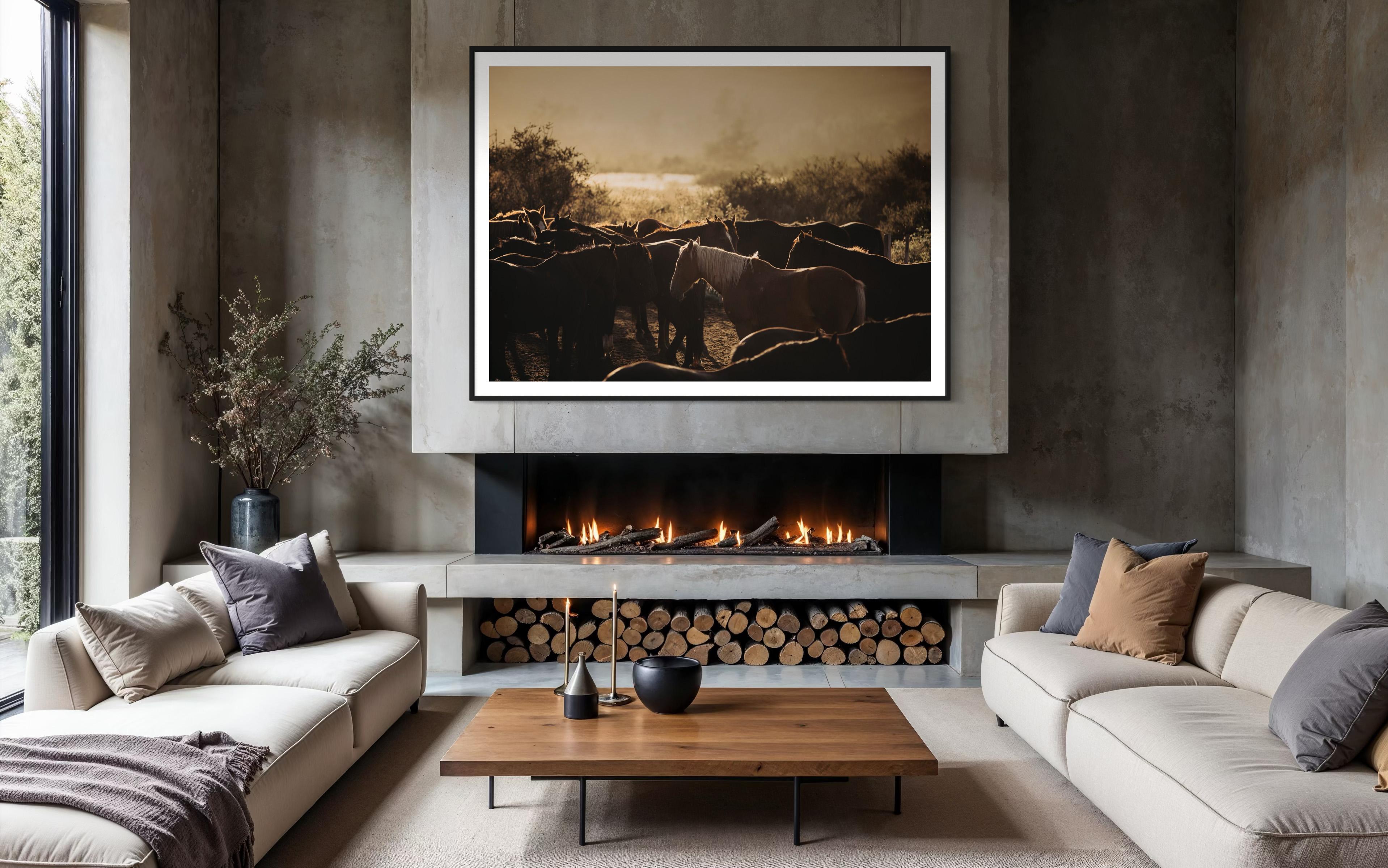 Art des chevaux, photographies de chevaux, estampes d'animaux-Horse's Flock 0225 en vente 2