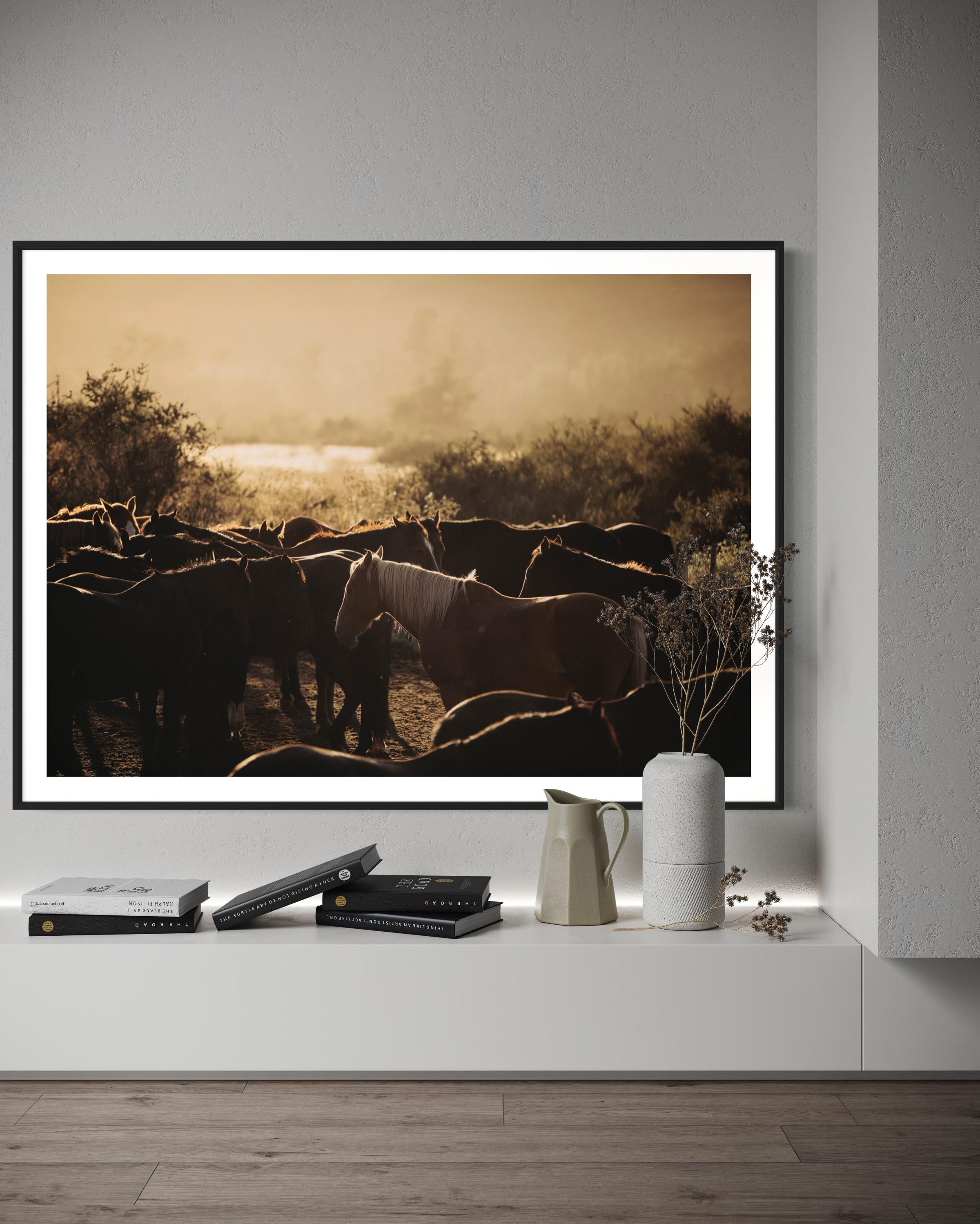 Art des chevaux, photographies de chevaux, estampes d'animaux-Horse's Flock 0225 en vente 4