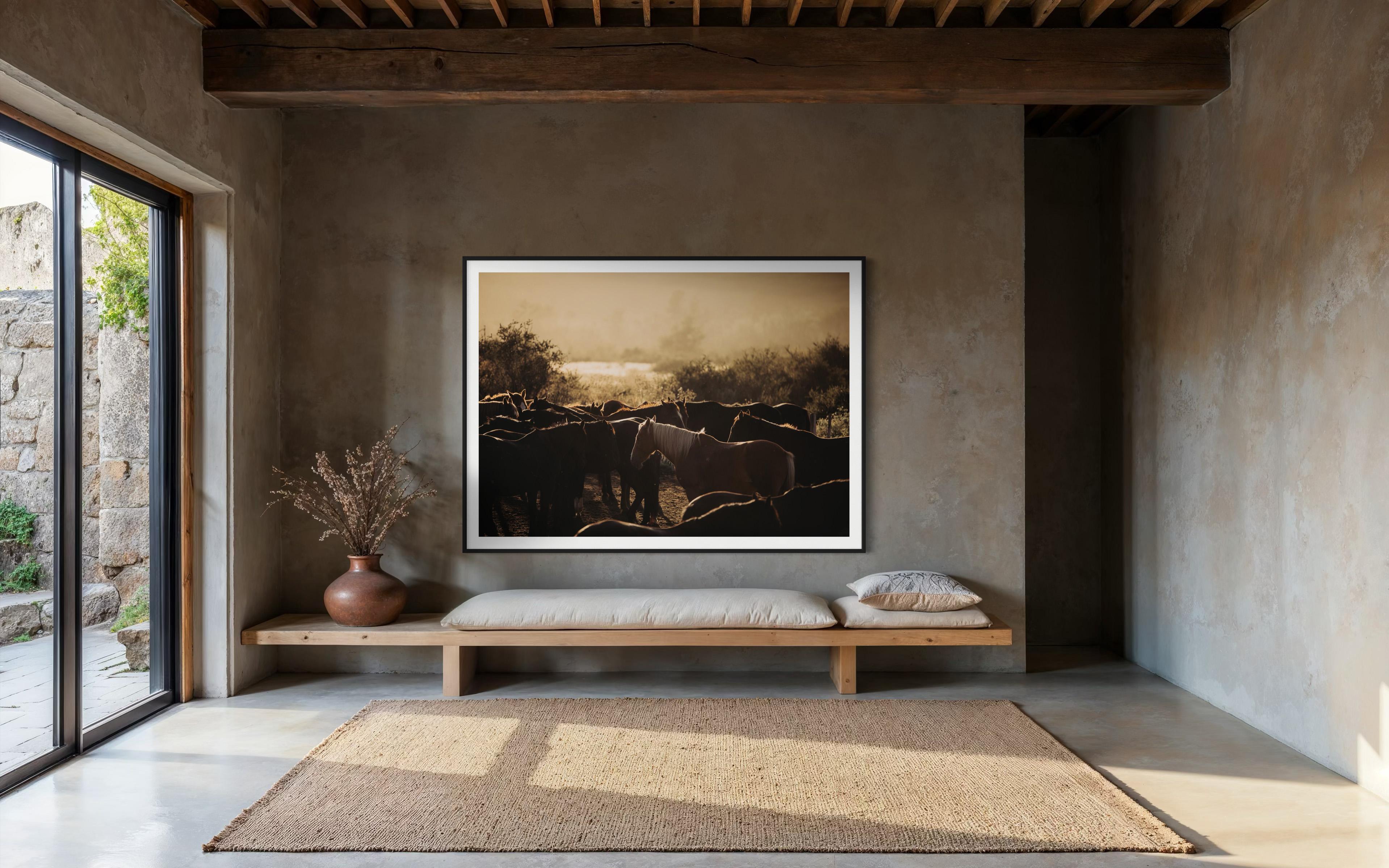 Art des chevaux, photographies de chevaux, estampes d'animaux-Horse's Flock 0225 - Noir Animal Print par Addison Jones