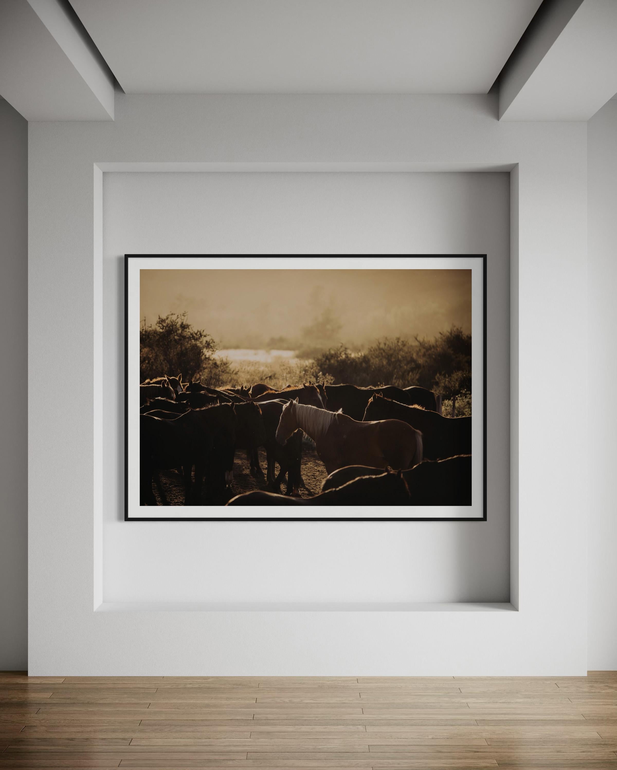 Art des chevaux, photographies de chevaux, estampes d'animaux-Horse's Flock 0225 - Contemporain Print par Addison Jones