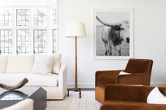 Longhorn Photography, Black and White Prints, Animal Photography-Stormy Stella