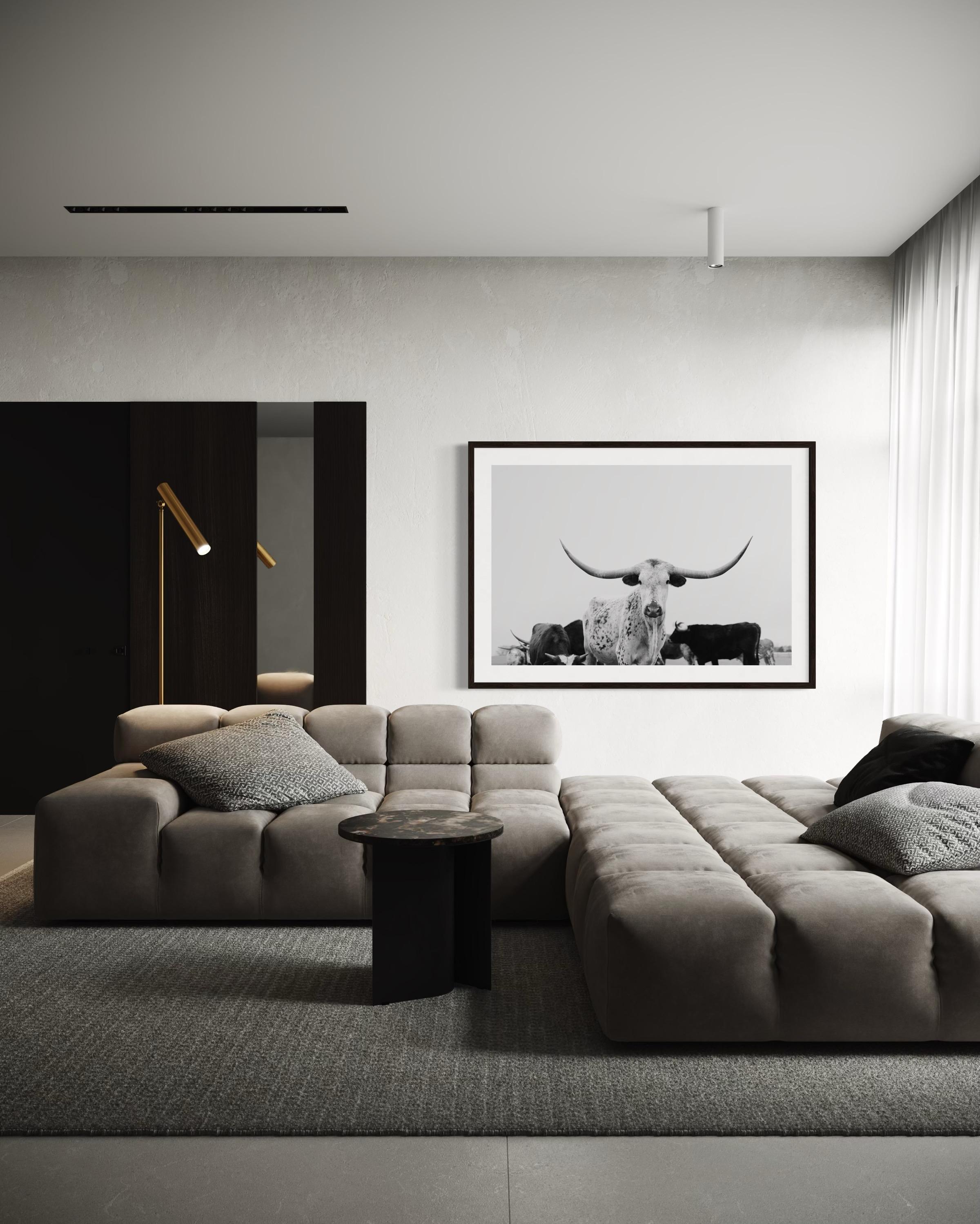 Art mural Longhorn, Photographie noir et blanc, Impressions d'animaux-Majestic Mia - Print de Addison Jones