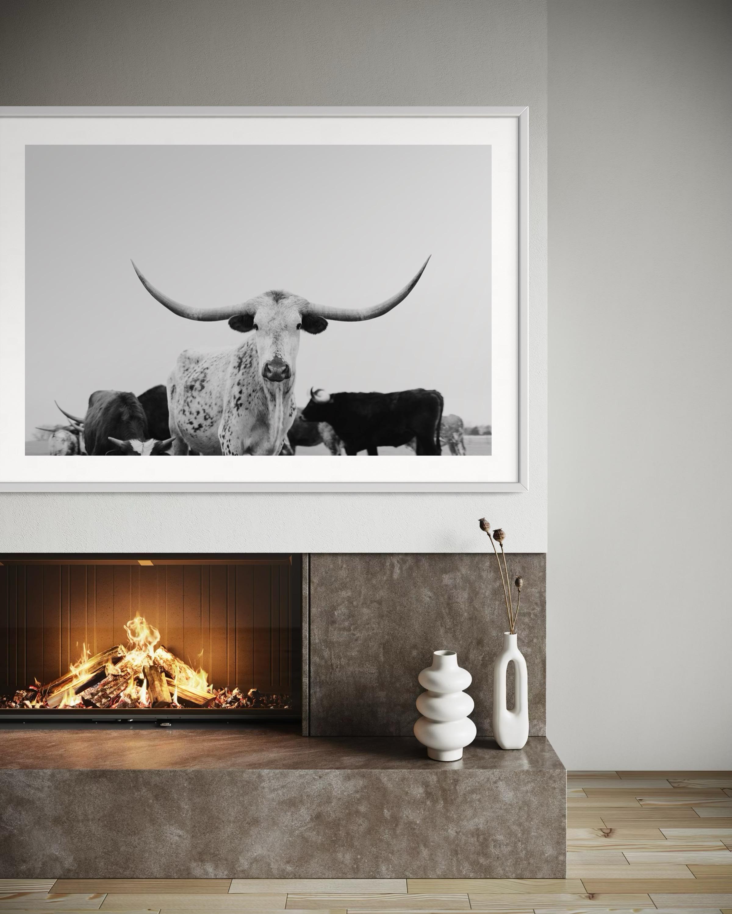 Art mural Longhorn, Photographie noir et blanc, Impressions d'animaux-Majestic Mia - Gris Animal Print par Addison Jones