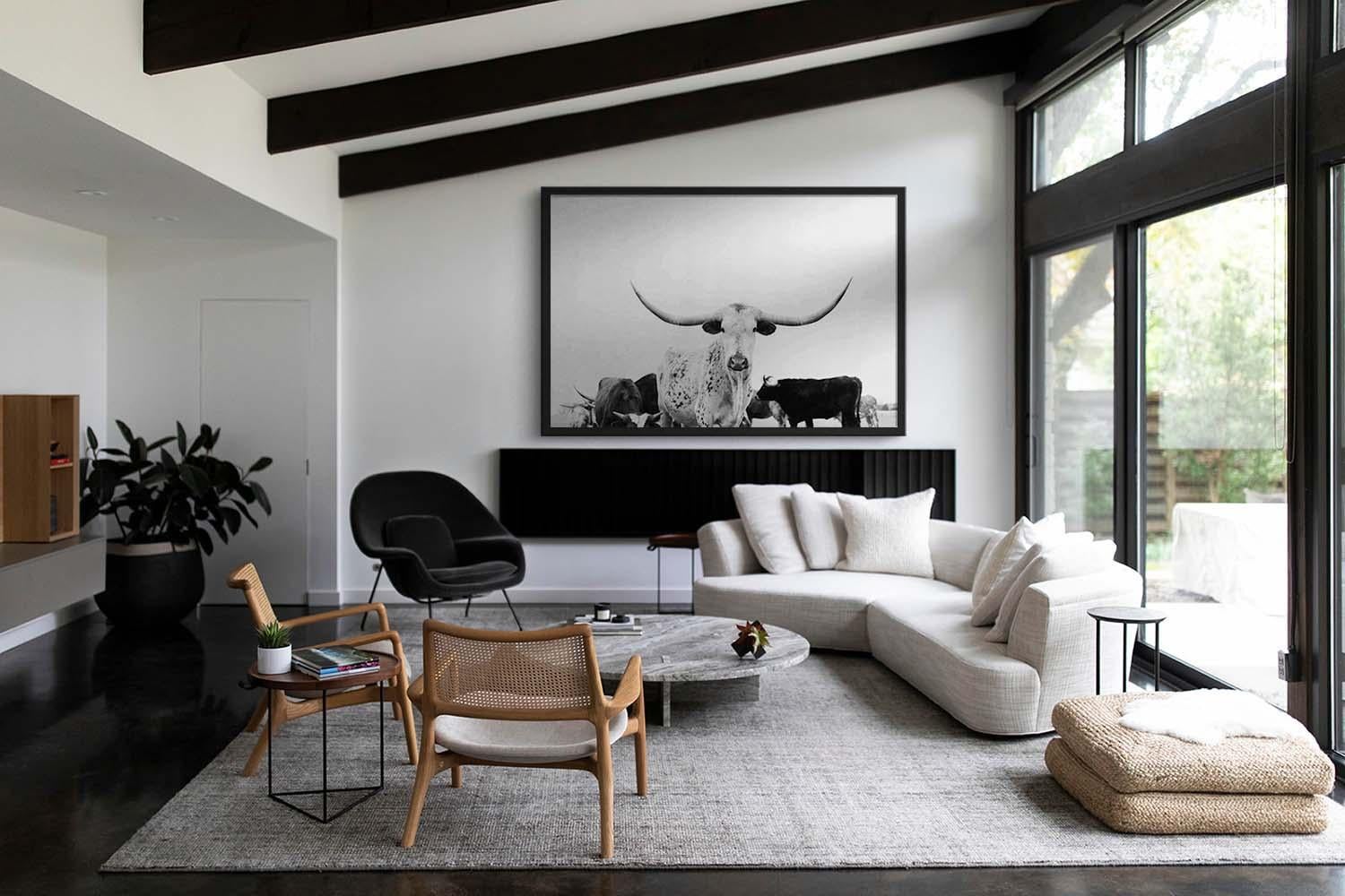 Art mural Longhorn, Photographie noir et blanc, Impressions d'animaux-Majestic Mia en vente 1