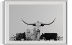 Longhorn Wall Art, Black & White Photography, Animal Prints-Majestic Mia