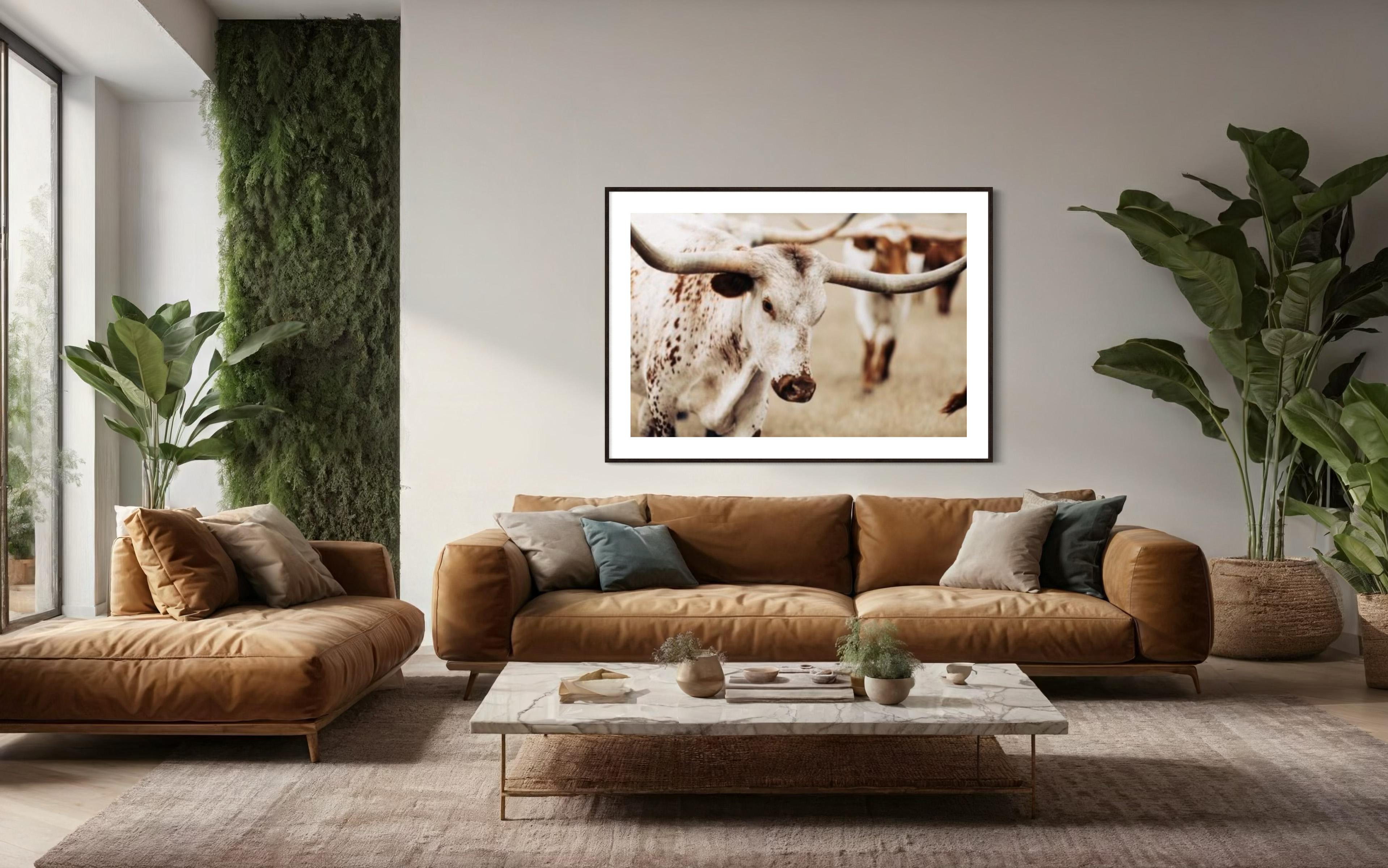 Décoration murale Longhorn, art longhorn - Contemporain Photograph par Addison Jones
