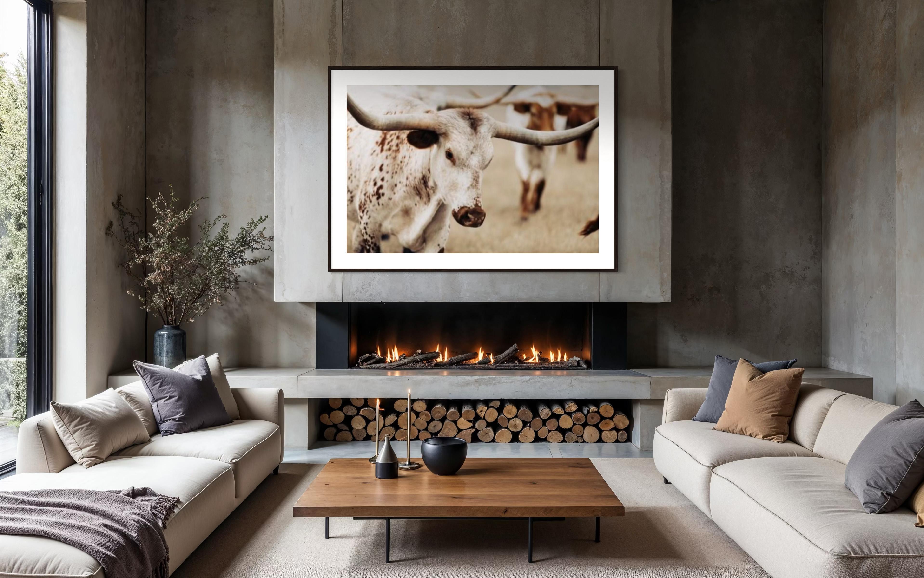 Wild Texas Longhorns Photographie colorée Longhorn Fine Art Prints

À PROPOS DE CETTE PIÈCE : 
Cette série a été réalisée dans un ranch local du Texas, où la terre s'étend à perte de vue et où les longhorns sont les symboles vivants de l'endurance,