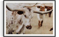 Longhorn wall decor, longhorn art