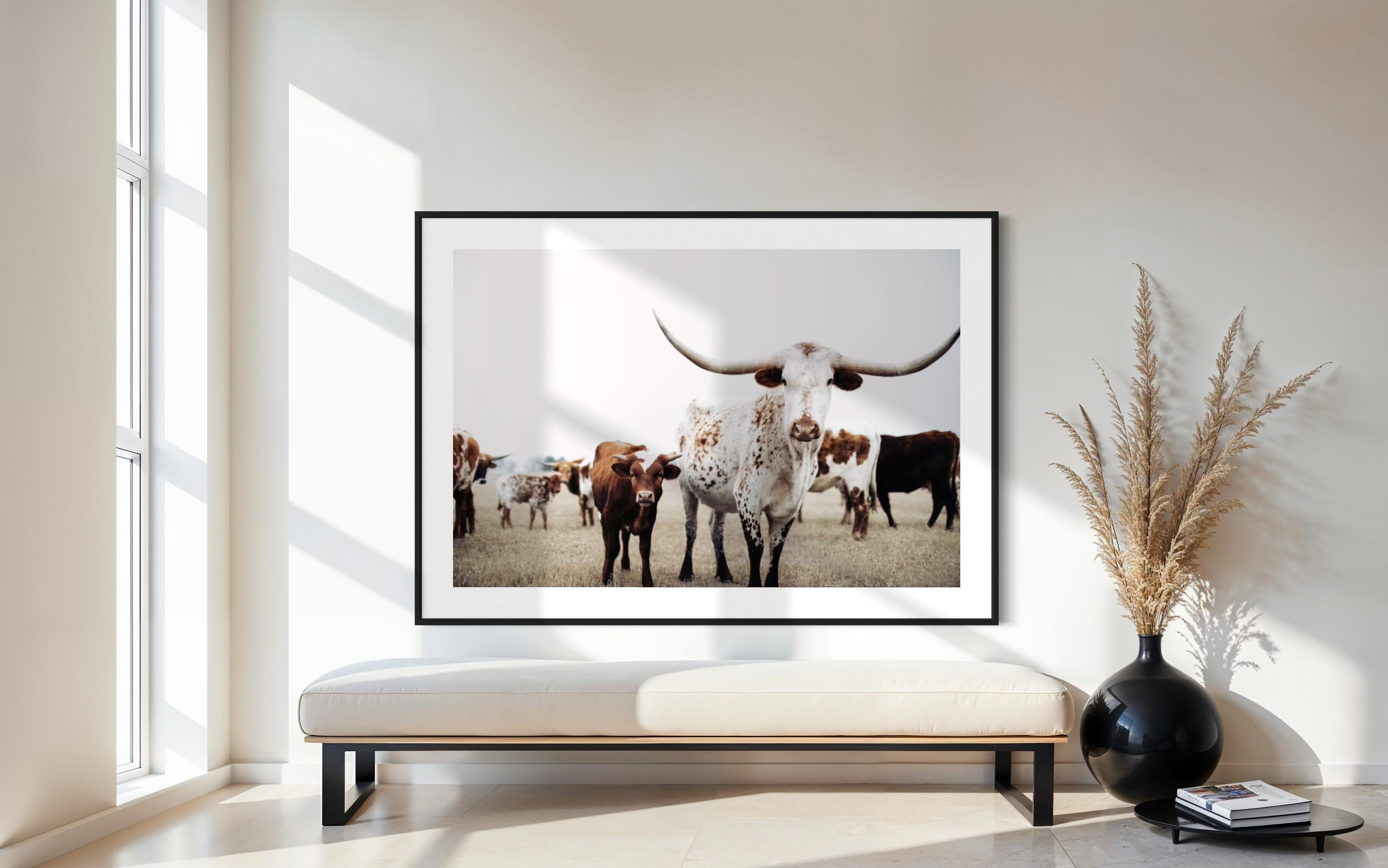 Art mural Texas Longhorn, Addison Jones en vente 1