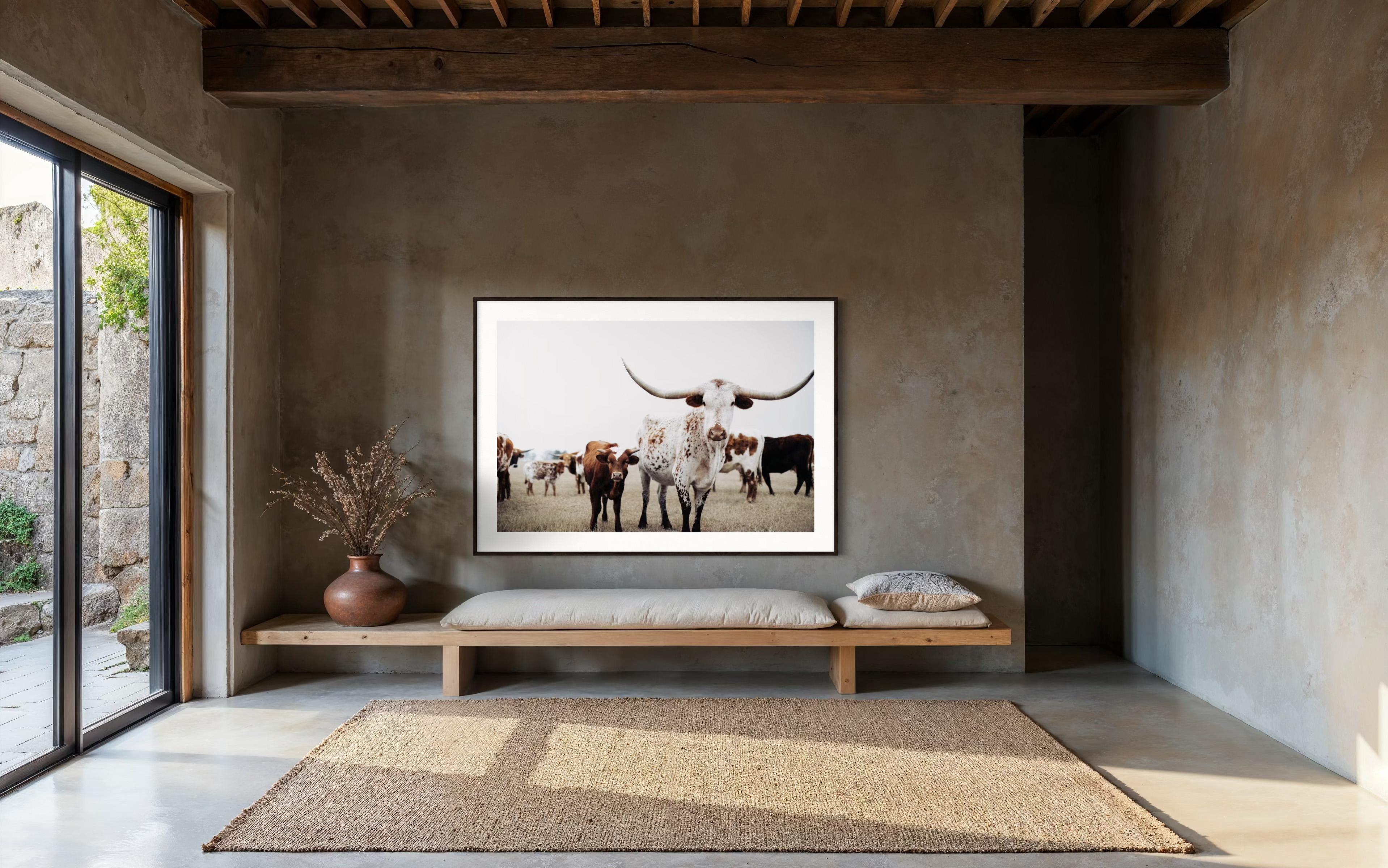 Art mural Texas Longhorn, Addison Jones en vente 2