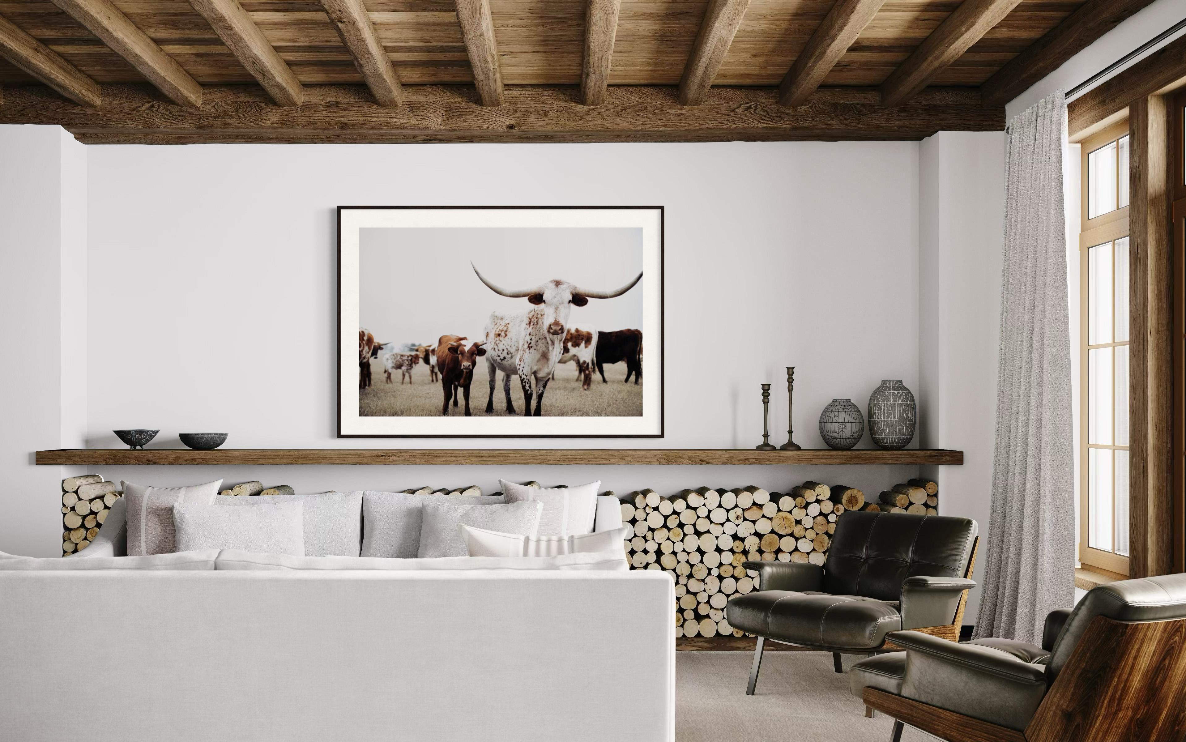 Art mural Texas Longhorn, Addison Jones en vente 3