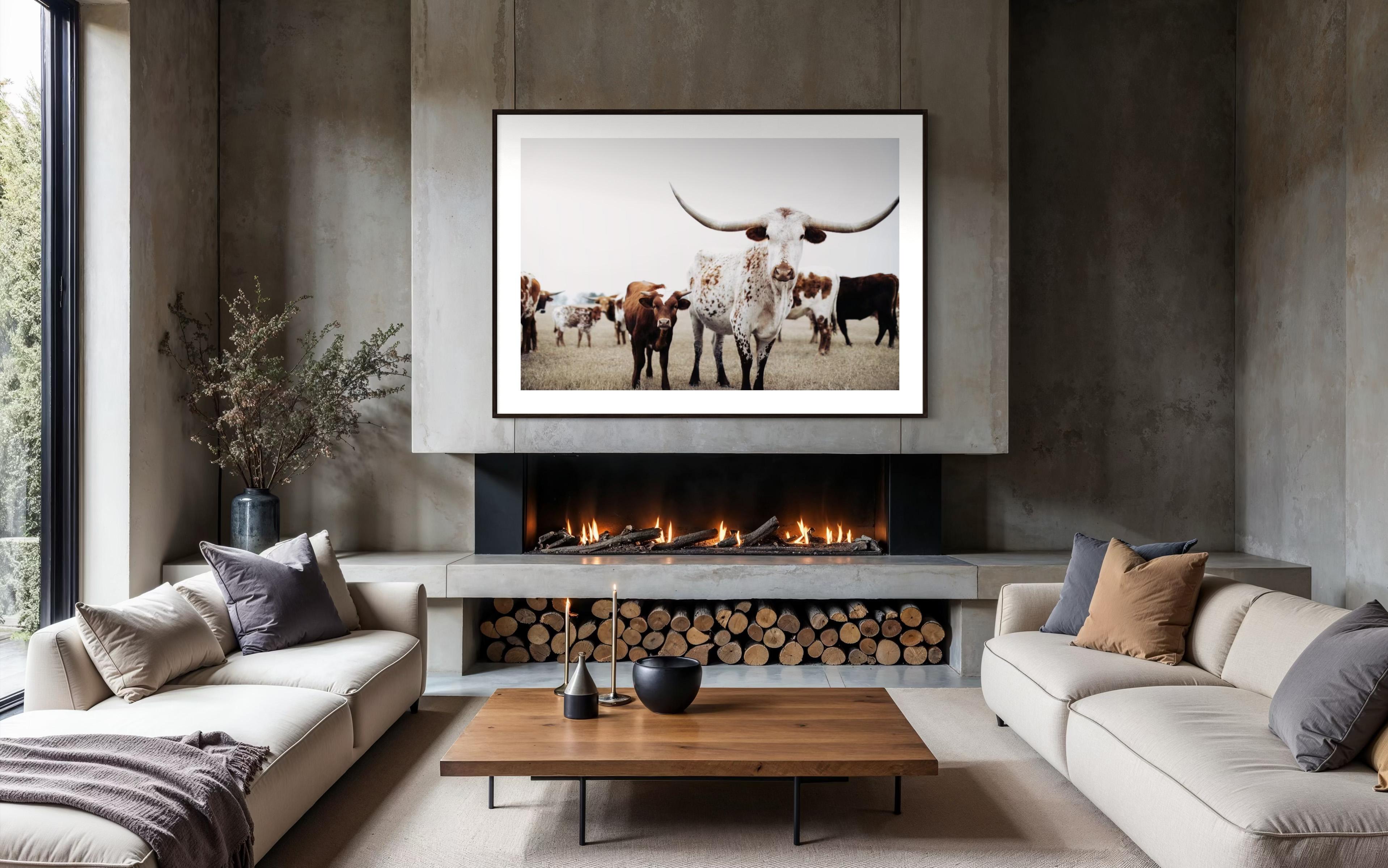 Art mural Texas Longhorn, Addison Jones en vente 5