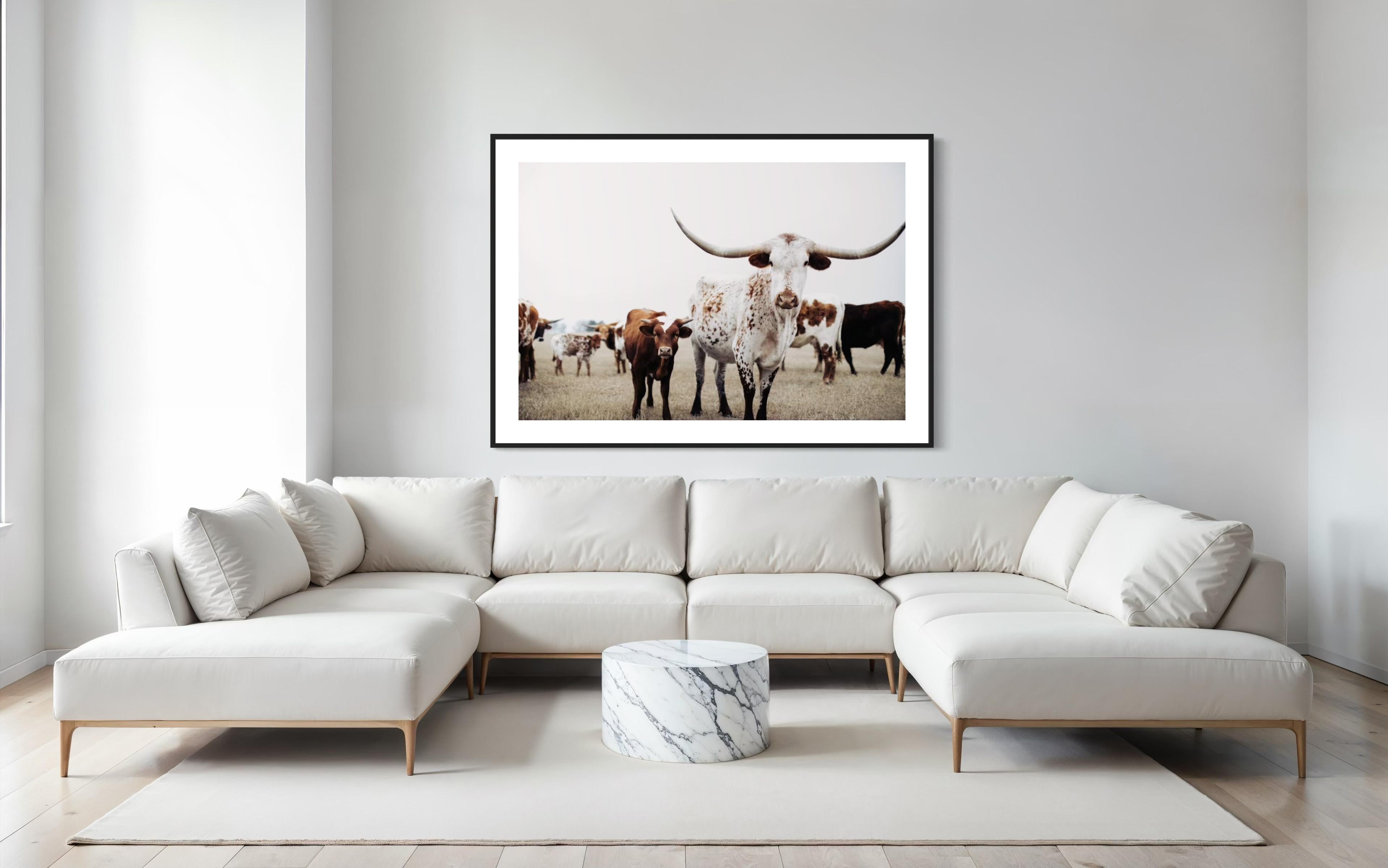 Art mural Texas Longhorn, Addison Jones en vente 8
