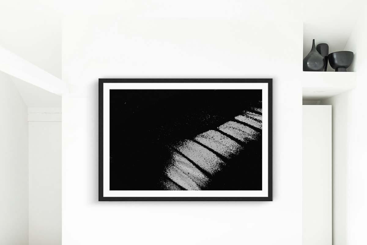 Wandfotografie, Schmetterlingsfotos, Schwarz-Weiß-Drucke – intimes Exposure – Print von Addison Jones