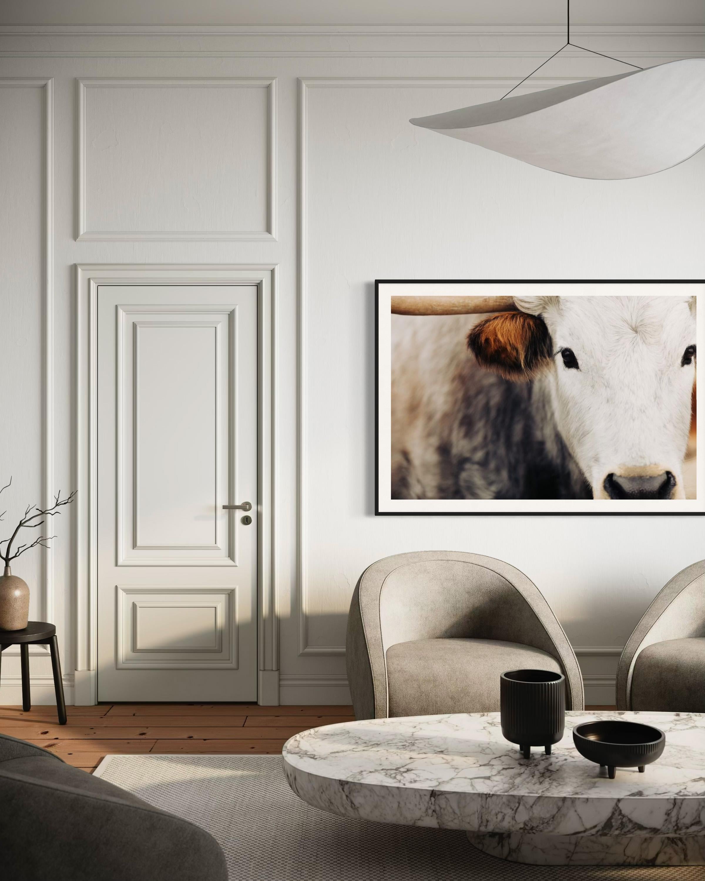 Fotografía en blanco y negro de los Longhorns salvajes de Texas Impresiones artísticas de Longhorn - Photograph Contemporáneo de Addison Jones