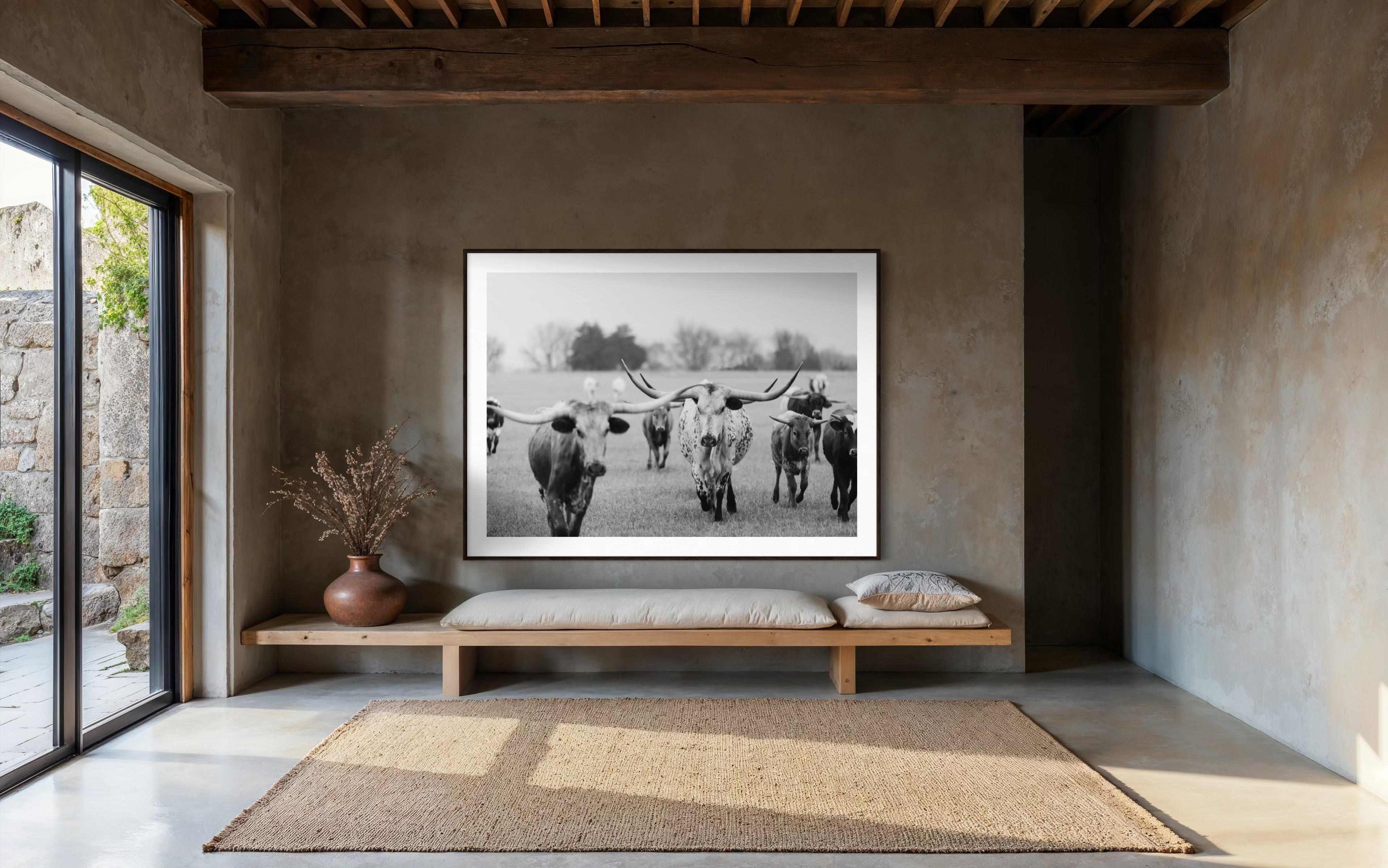 Wild Texas Longhorns Photographie noir et blanc Longhorn Fine Art Prints en vente 1