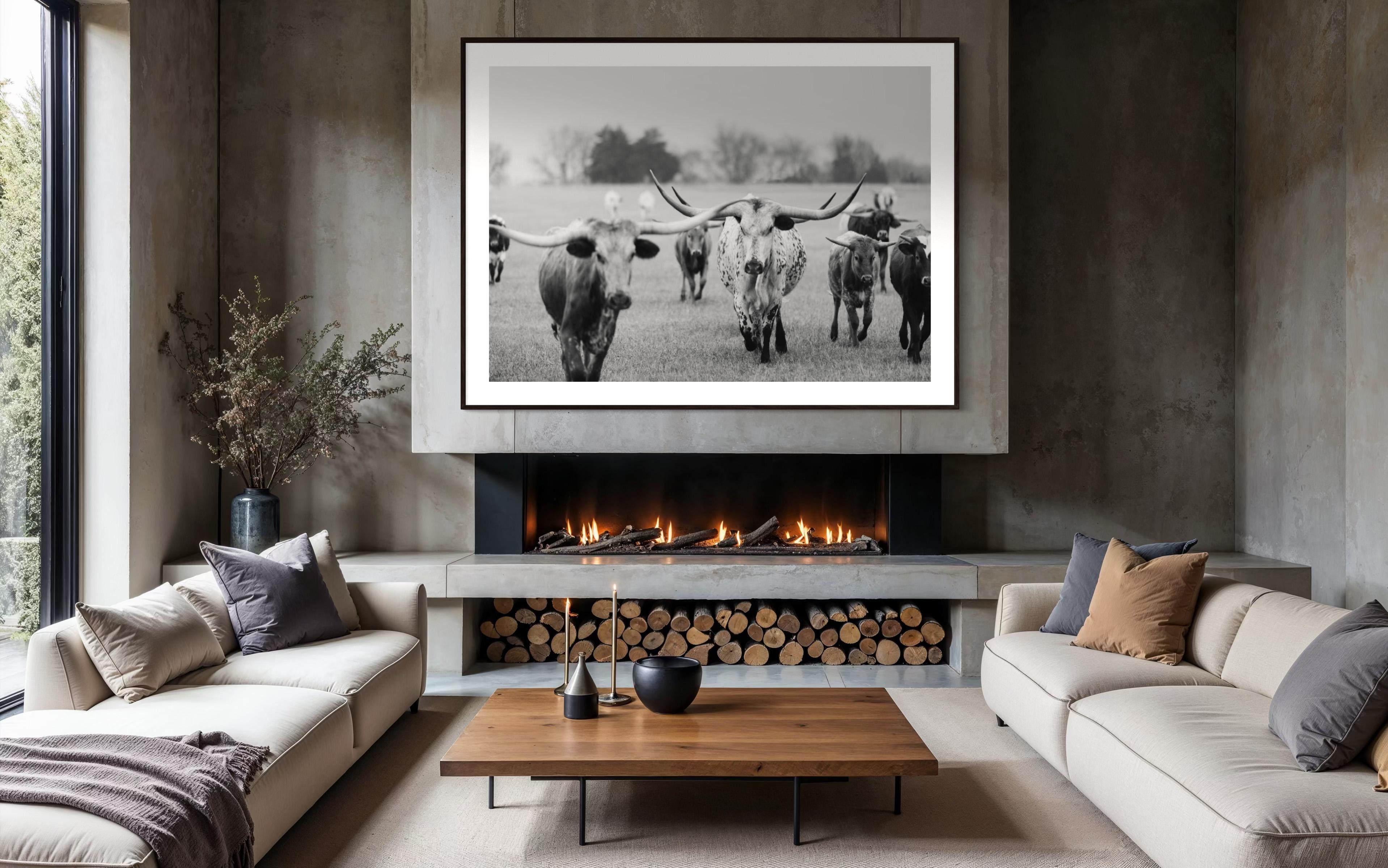 Wild Texas Longhorns Photographie noir et blanc Longhorn Fine Art Prints en vente 2