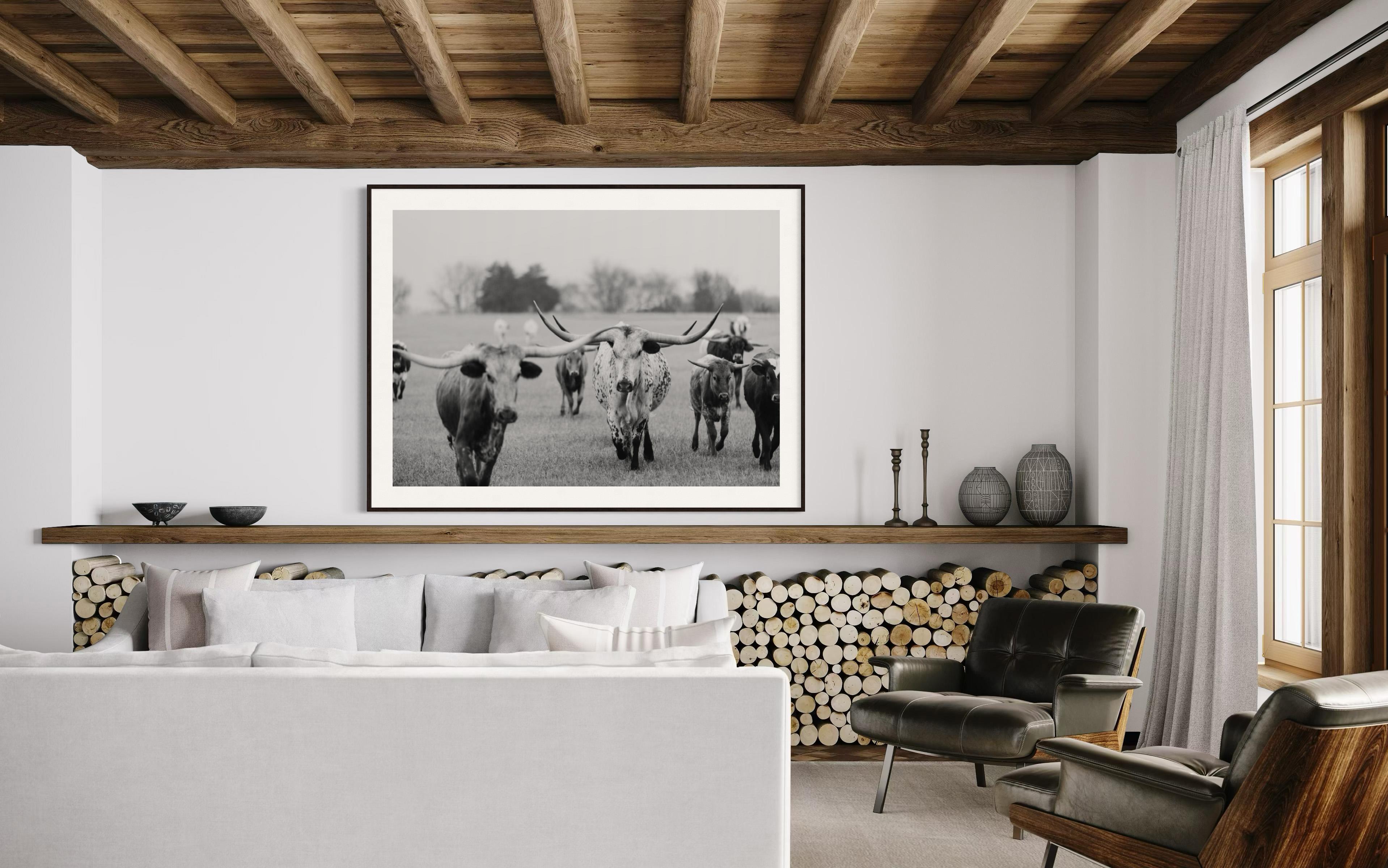 Wild Texas Longhorns Photographie noir et blanc Longhorn Fine Art Prints en vente 3