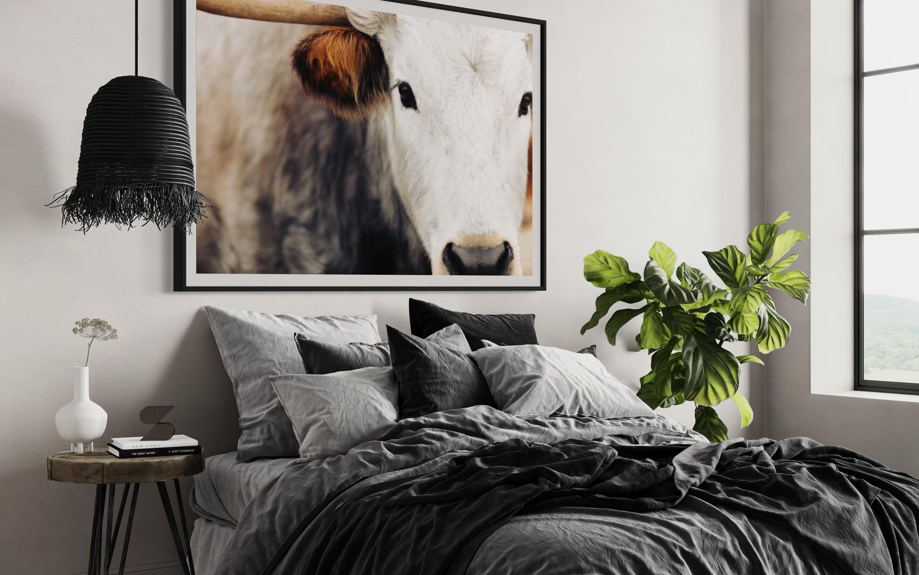 Fotografía en blanco y negro de los Longhorns salvajes de Texas Impresiones artísticas de Longhorn en venta 1