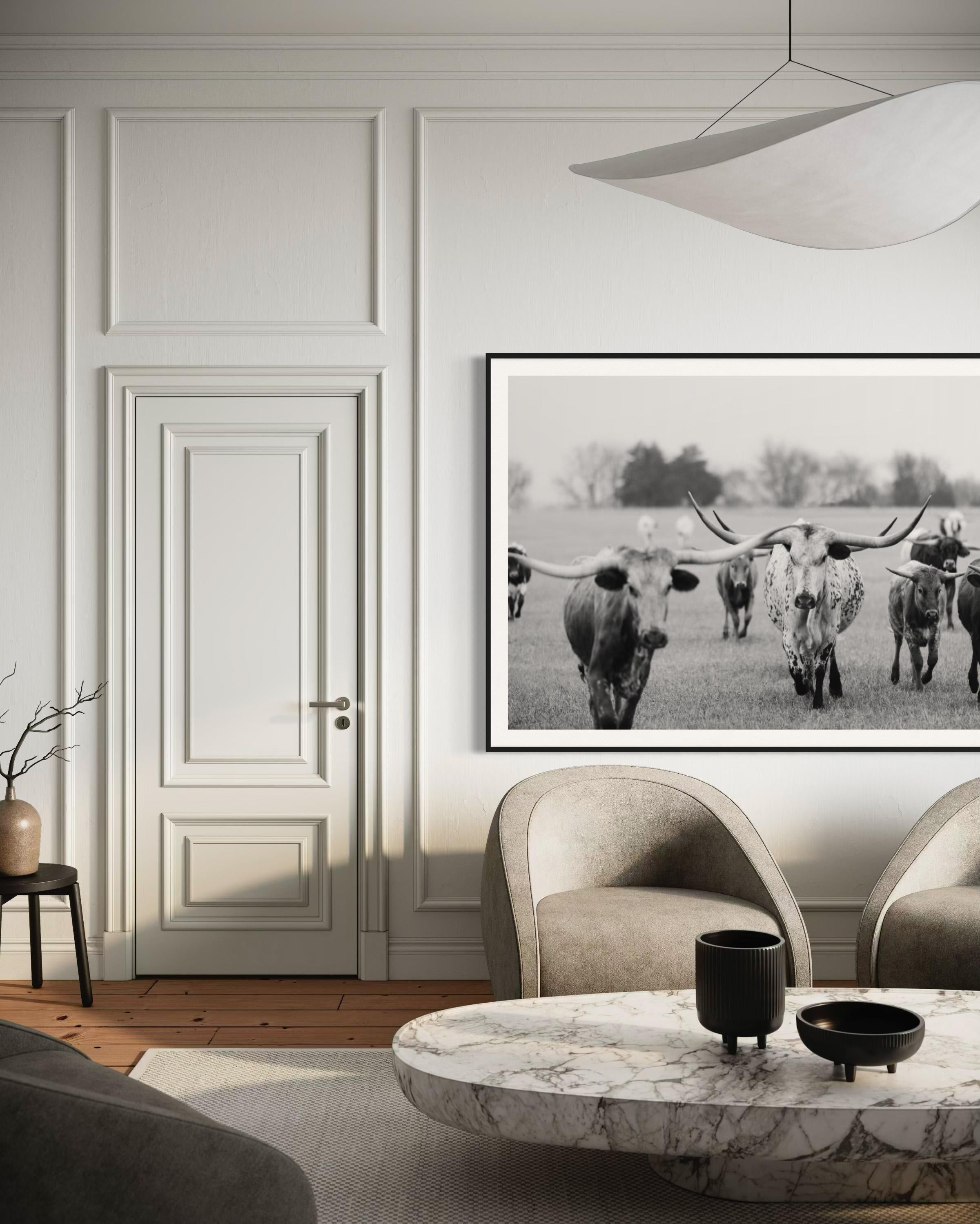 Wild Texas Longhorns Photographie noir et blanc Longhorn Fine Art Prints en vente 4