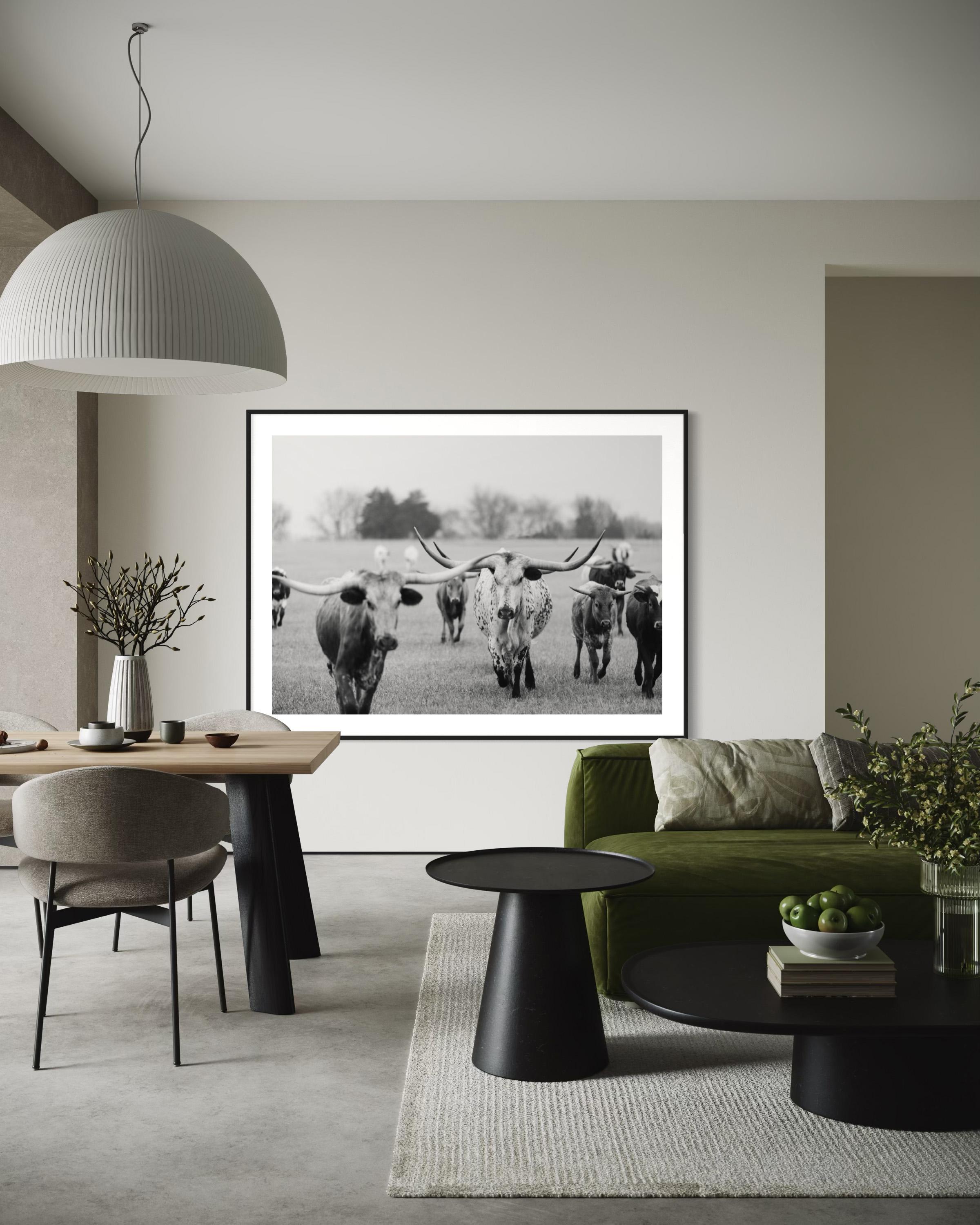 Wild Texas Longhorns Photographie noir et blanc Longhorn Fine Art Prints en vente 6