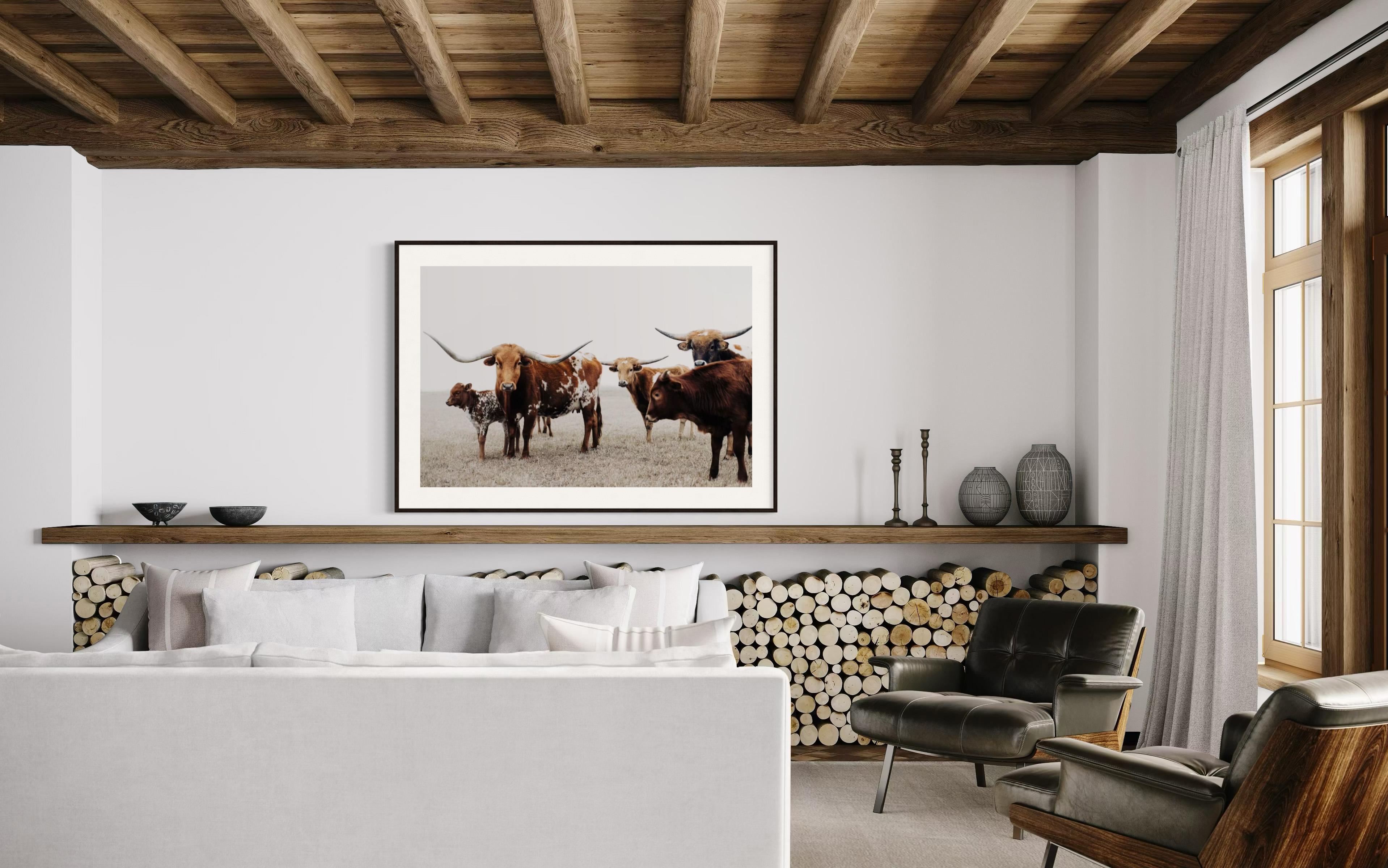 Wilde Texas Longhorns Farbige Fotografie Longhorn Kunstdrucke – Photograph von Addison Jones