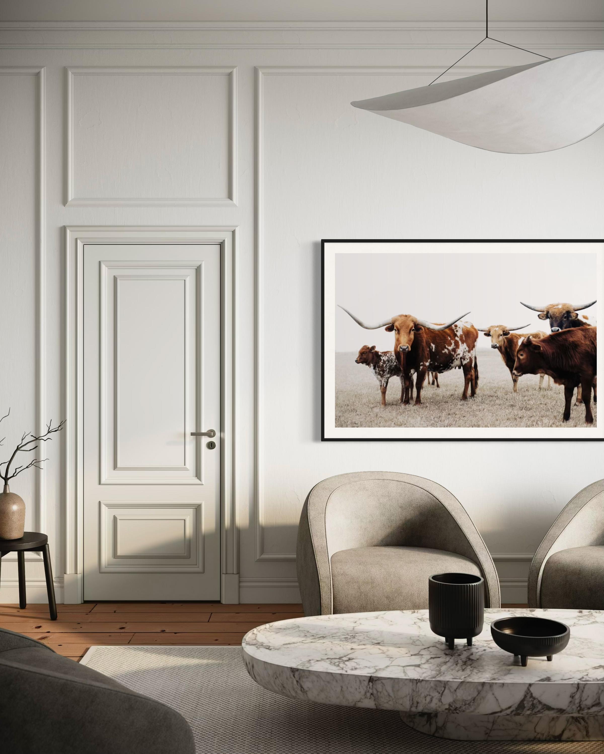 Wilde Texas Longhorns Farbige Fotografie Longhorn Kunstdrucke (Zeitgenössisch), Photograph, von Addison Jones