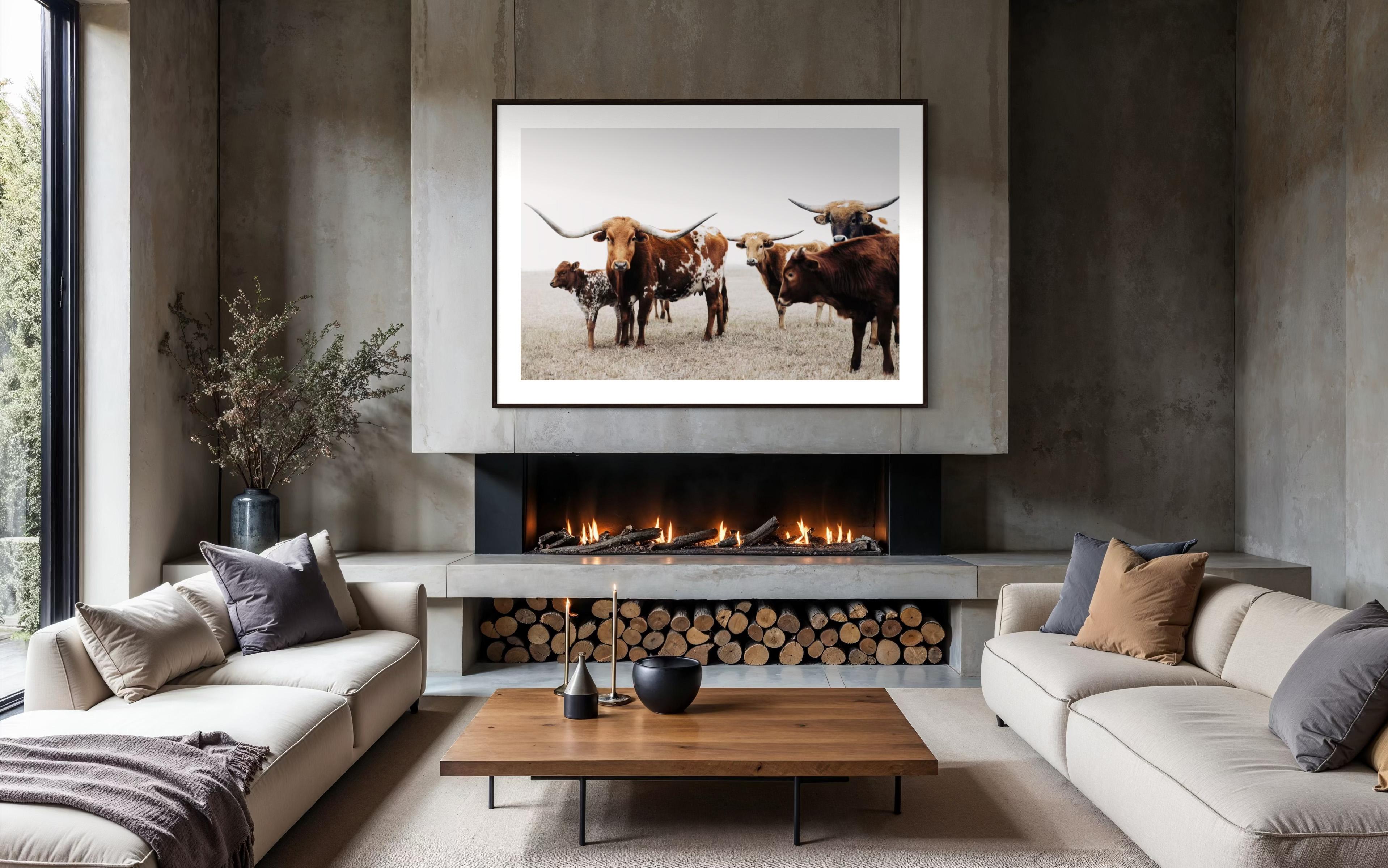 Wilde Texas Longhorns Farbige Fotografie Longhorn Kunstdrucke

ÜBER DIESES STÜCK: 
Diese Serie wurde auf einer texanischen Ranch aufgenommen, wo sich das Land weit ausdehnt und die Longhorns als lebende Symbole für Ausdauer, Erbe und Freiheit