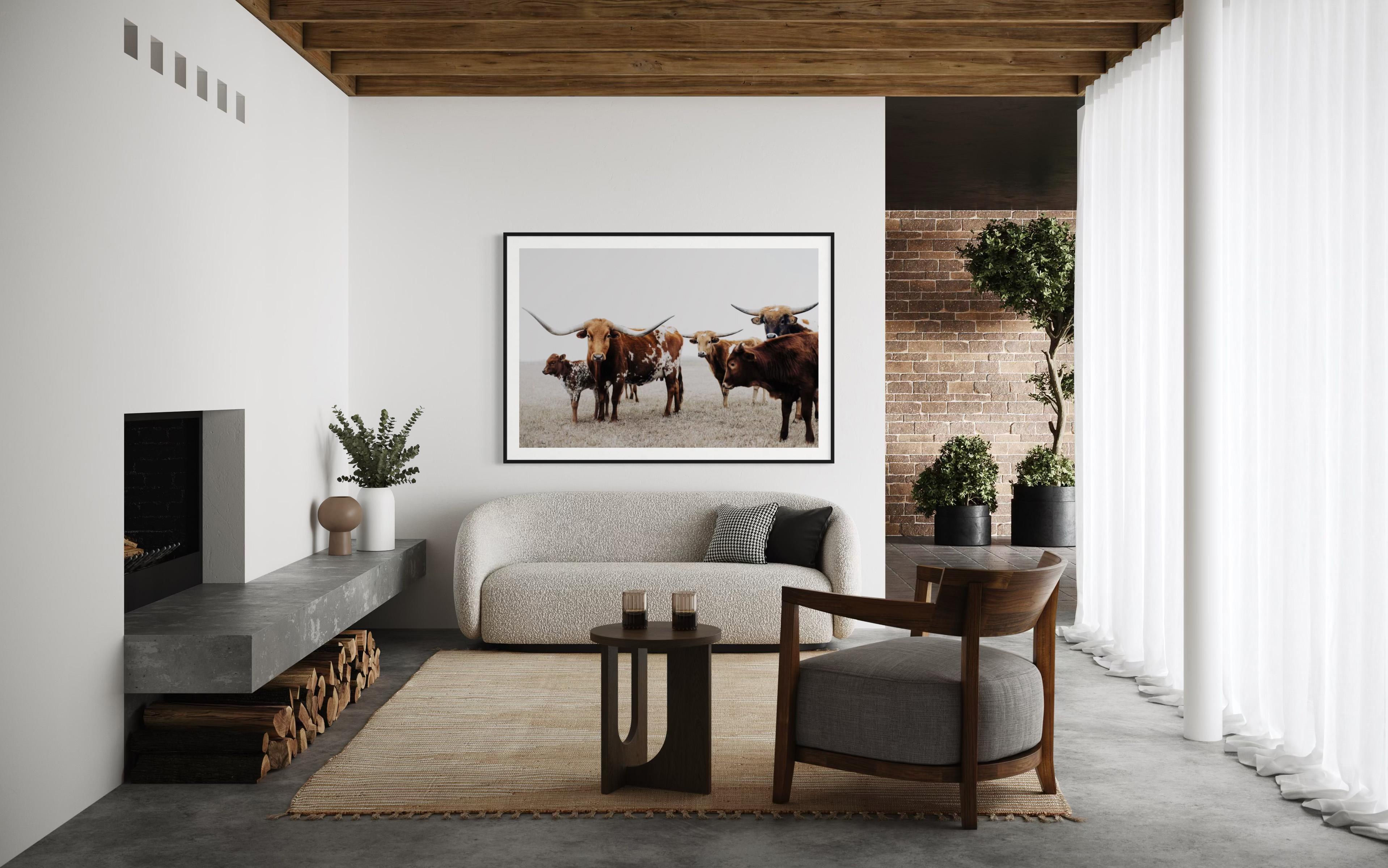 Wilde Texas Longhorns Farbige Fotografie Longhorn Kunstdrucke im Angebot 2