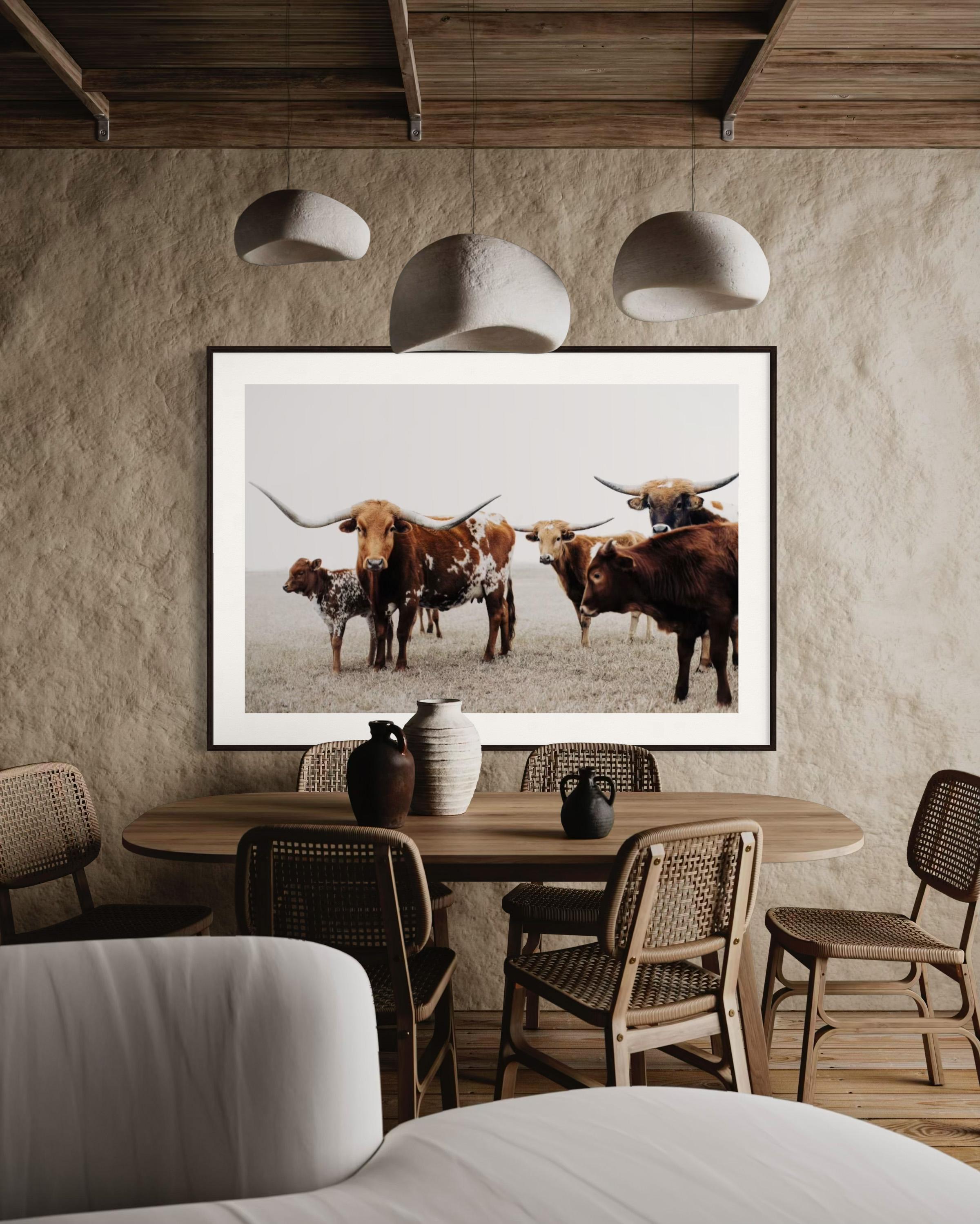Wilde Texas Longhorns Farbige Fotografie Longhorn Kunstdrucke im Angebot 3