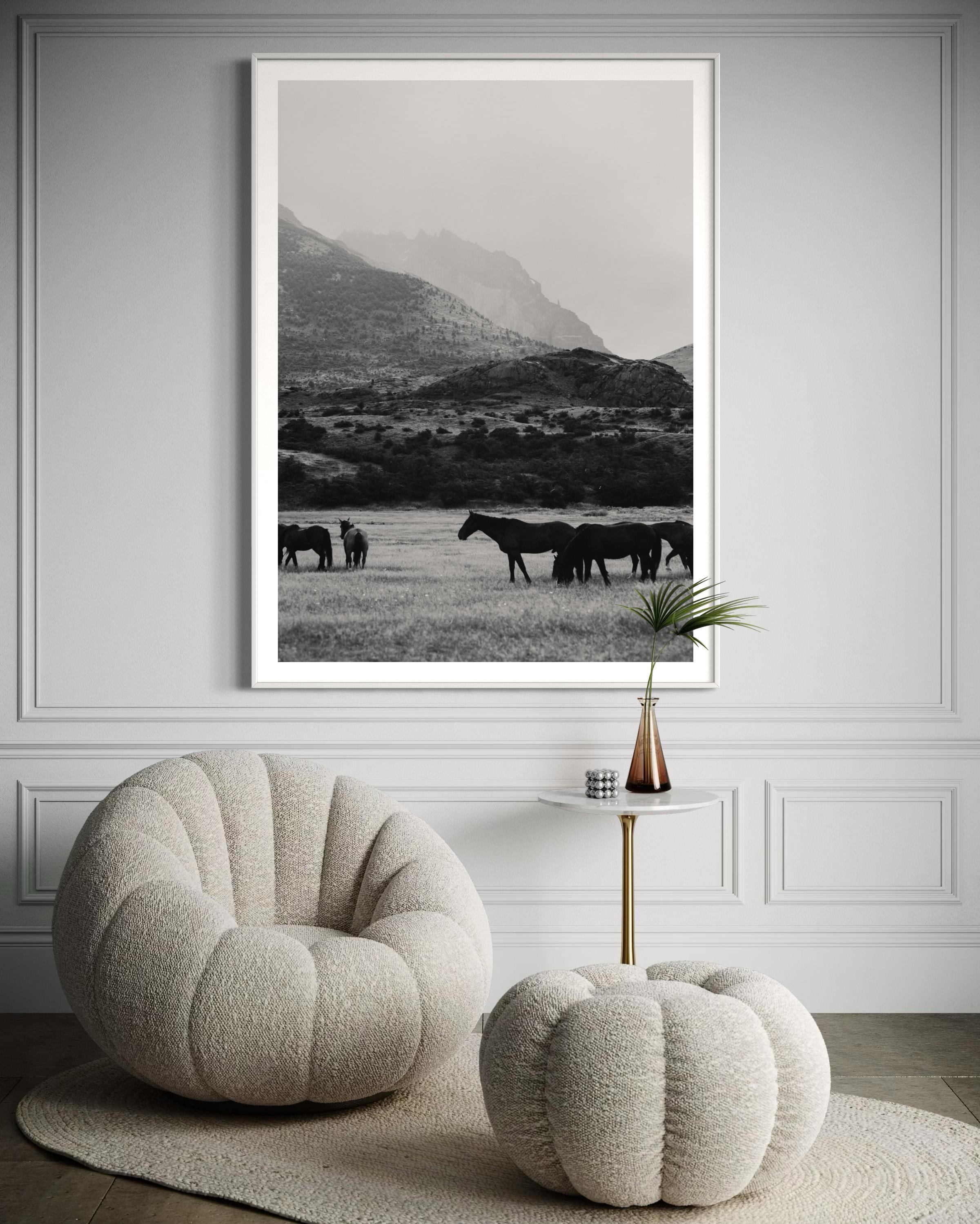 Horse photography, Black & White Horse Photography, Horses-Black and Equwhite For Sale 1