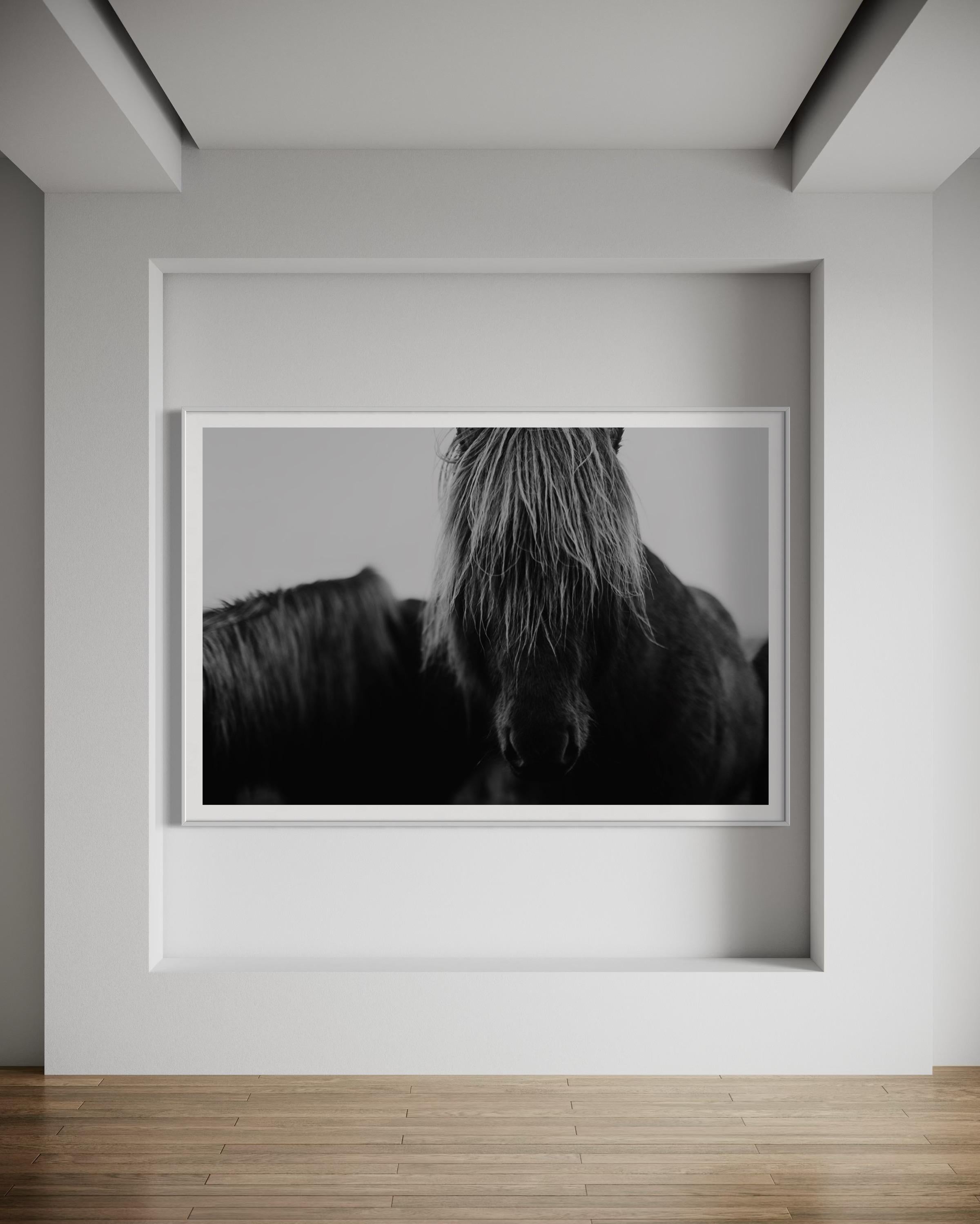 Horse Prints, Black and White Horse Photography, Iceland Horses-Mop Head 8120 For Sale 1