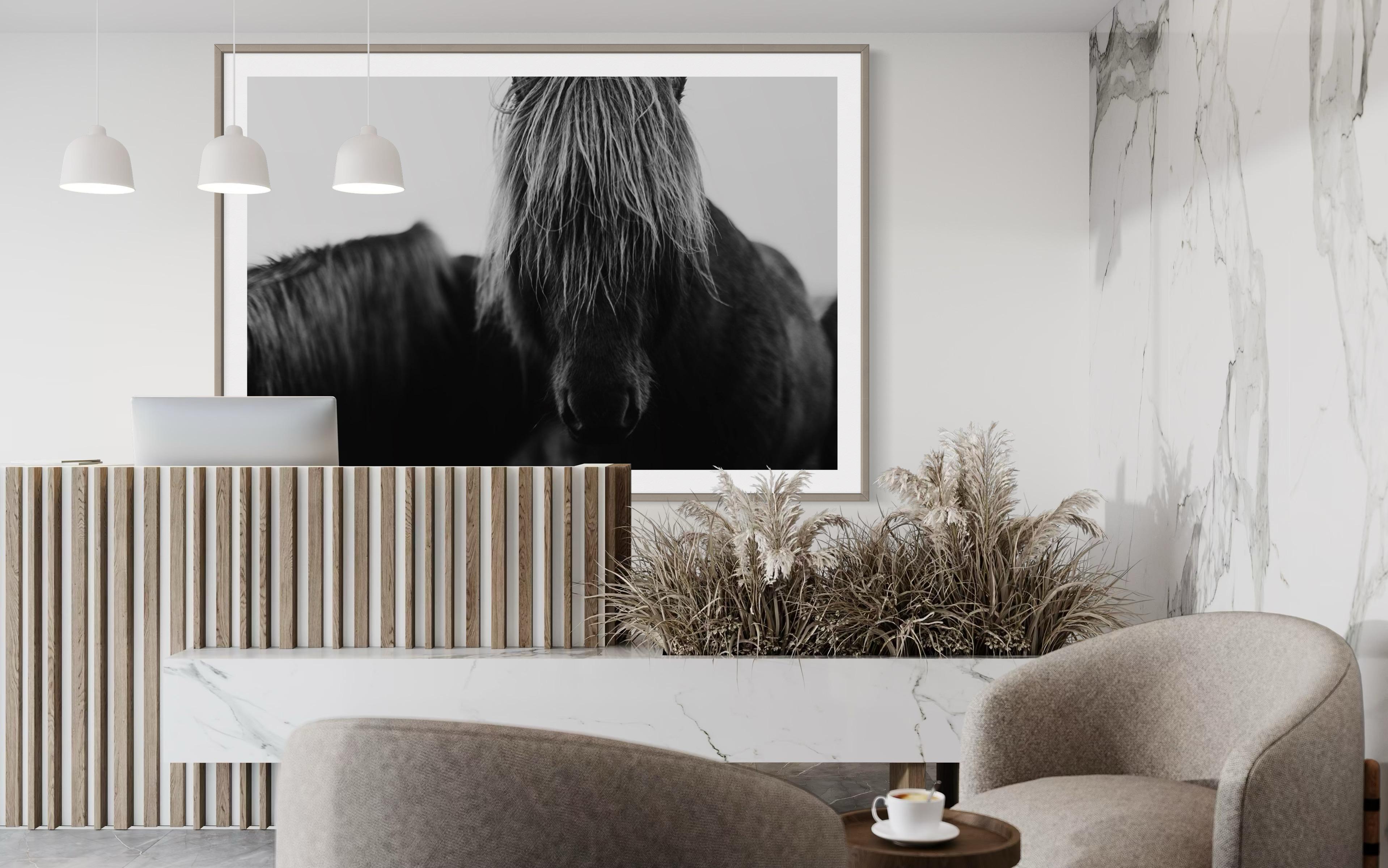 Horse Prints, Black and White Horse Photography, Iceland Horses-Mop Head 8120 For Sale 4