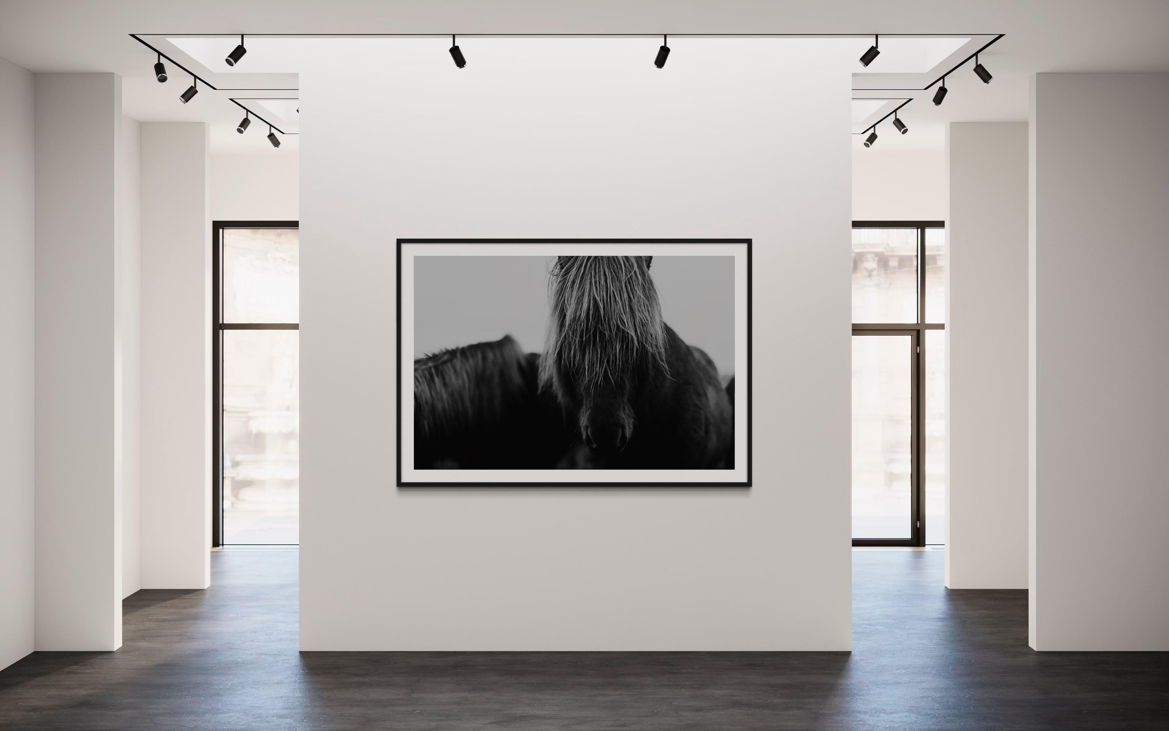 Horse Prints, Black and White Horse Photography, Iceland Horses-Mop Head 8120 For Sale 5