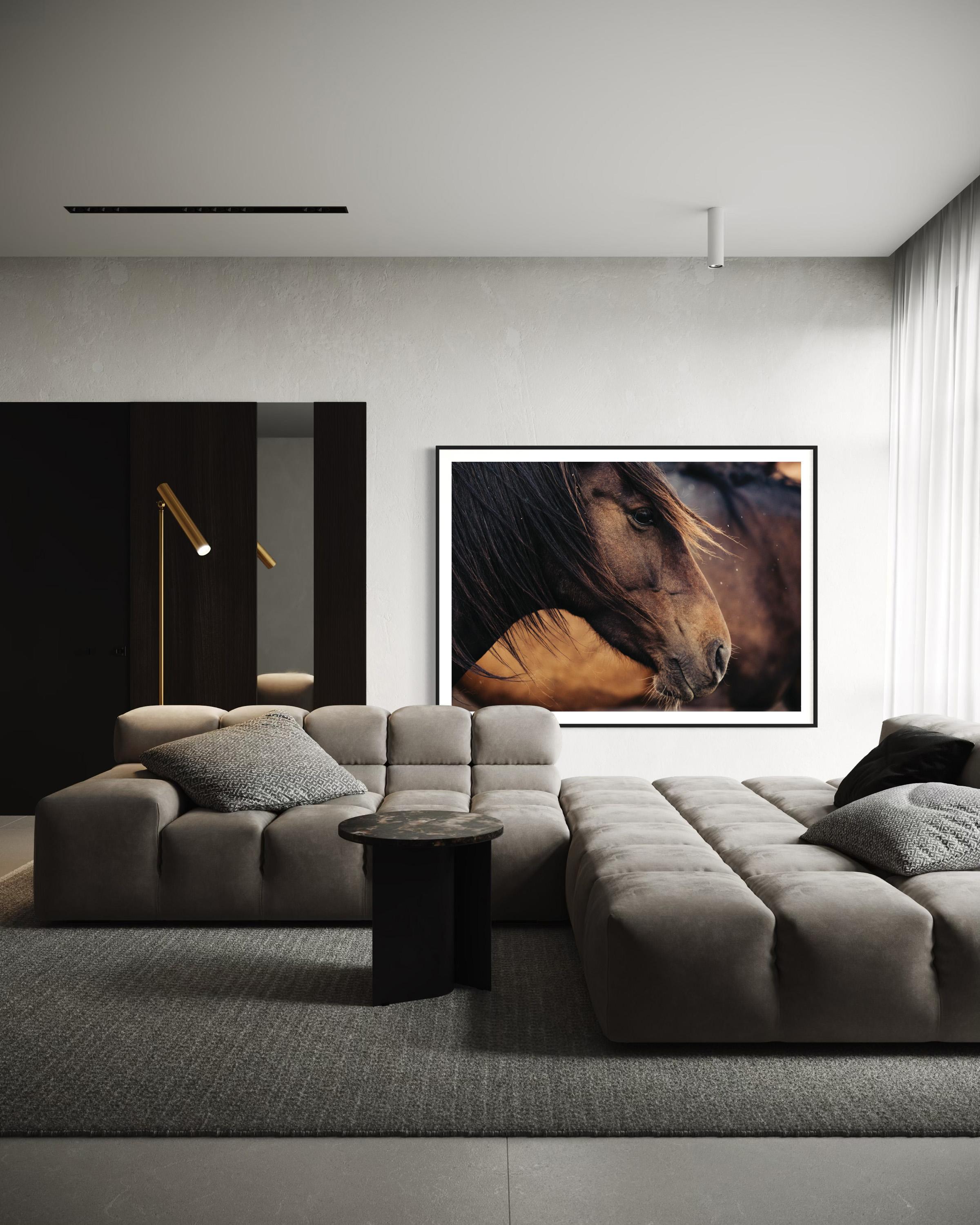 Caballos, Caballos salvajes, Fotografía de caballos en color-Contemplativa Conrad 023 en venta 3