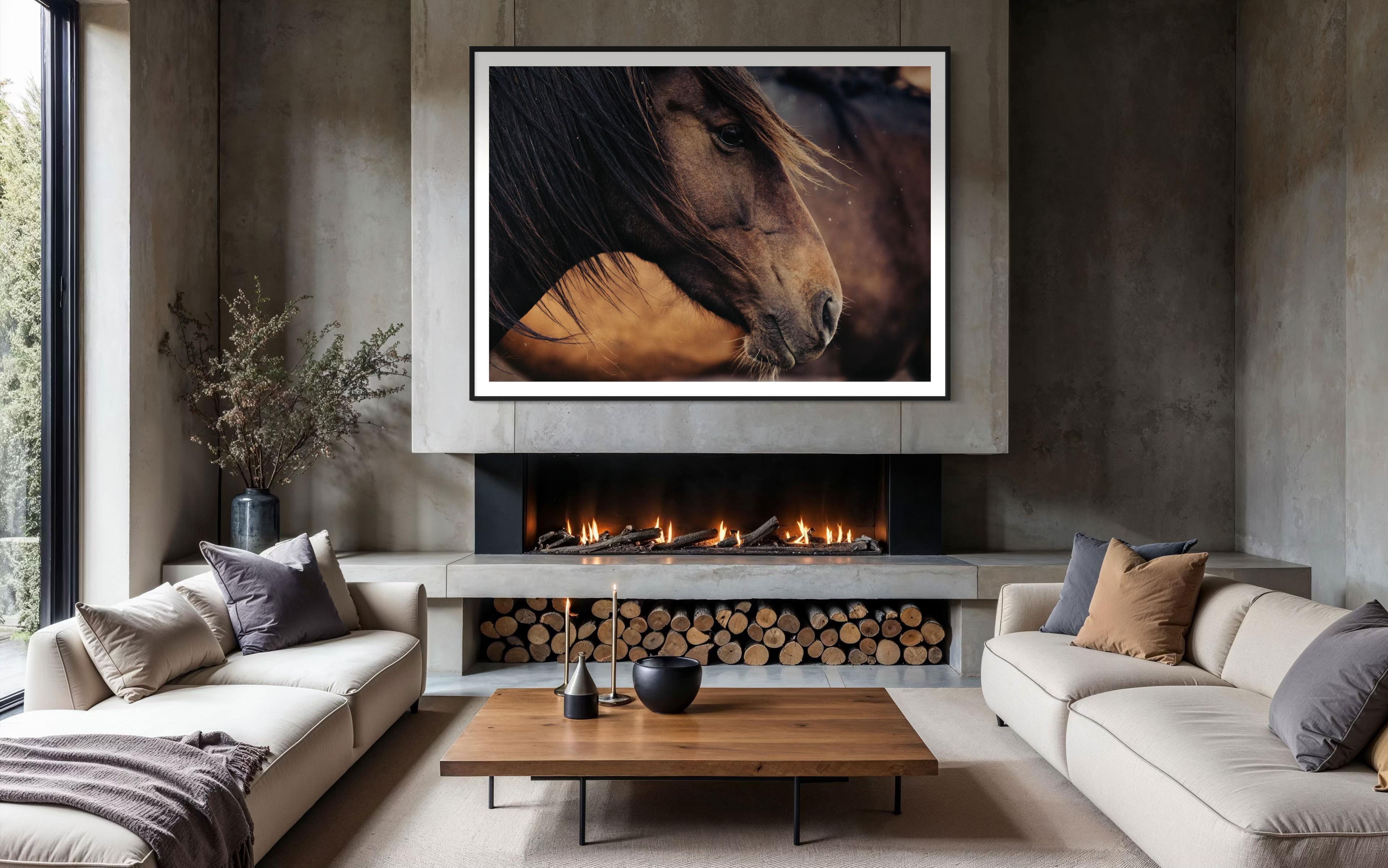 Caballos, Caballos salvajes, Fotografía de caballos en color-Contemplativa Conrad 023 en venta 4